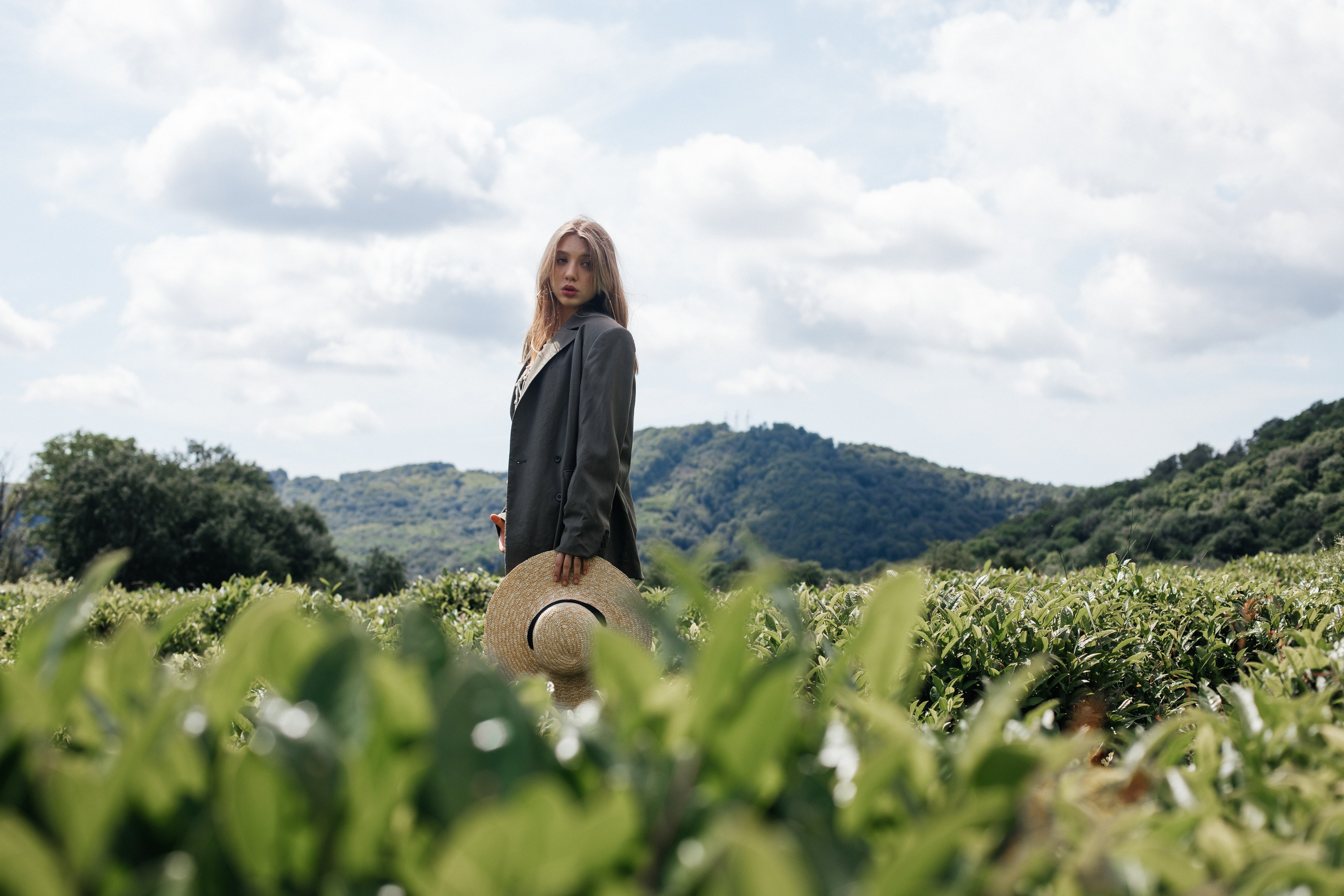 Tea plantation. Efimova Model Agency