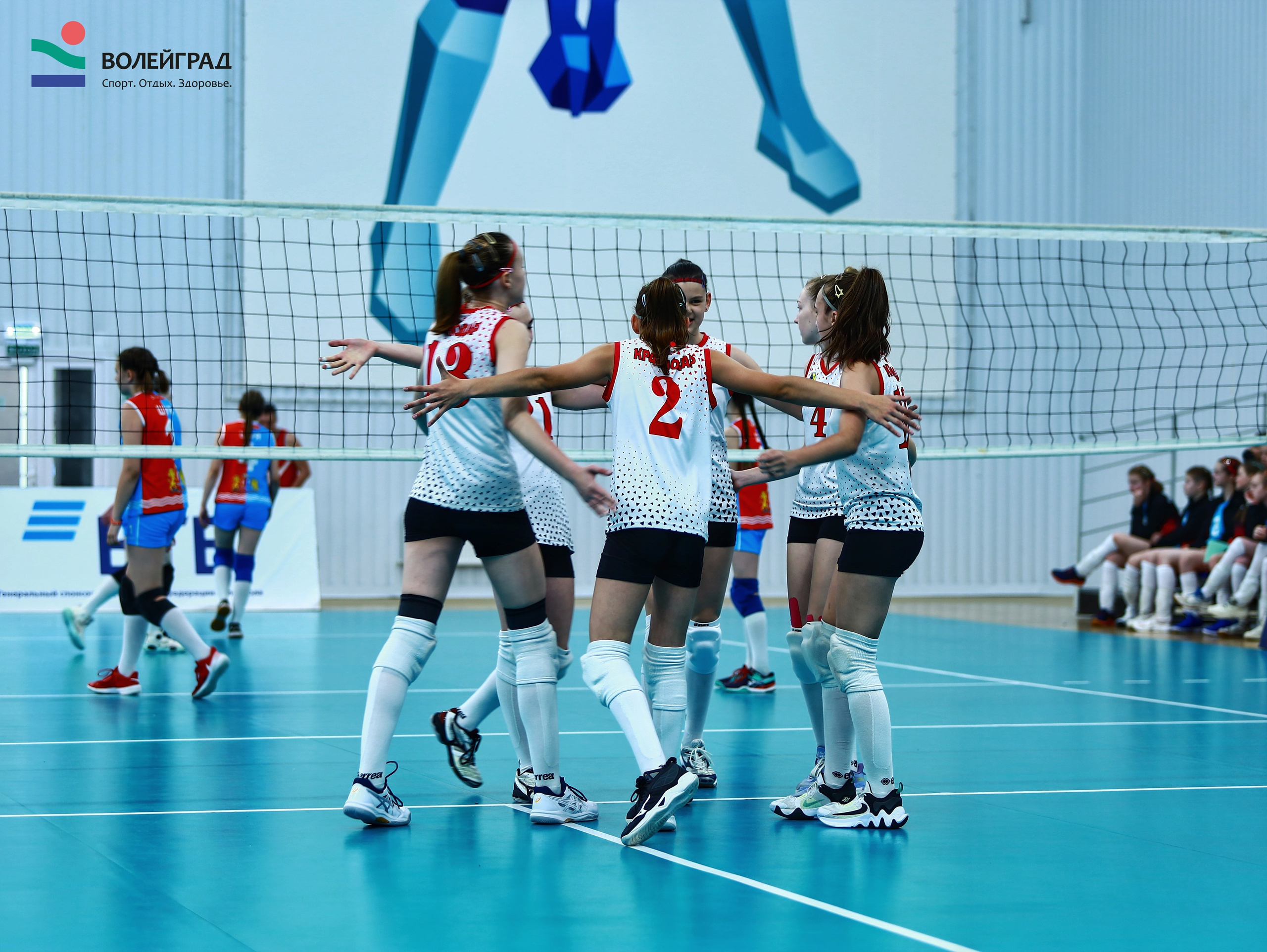 Волейбол ВФВ 21.05.24. Репортажный фотограф Анапа