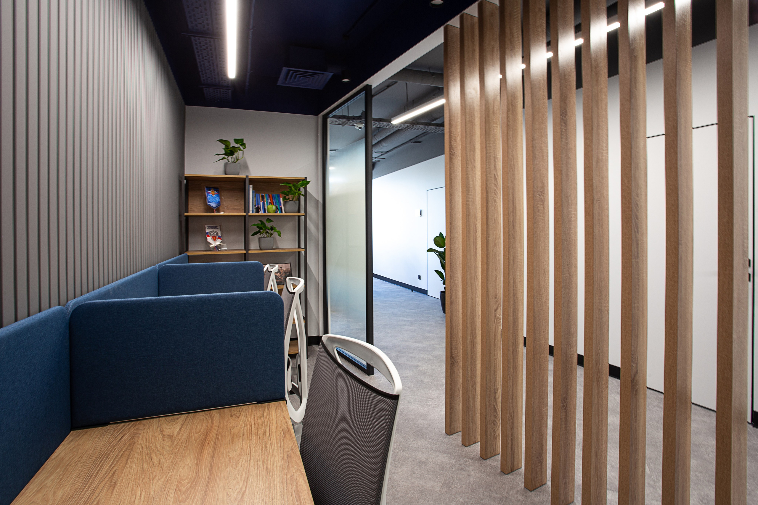 Офисы Инфотех. Контент фотограф, съемка для маркетплейсов, фуд съемка и репортажи в Новосибирске Ралия Галеева