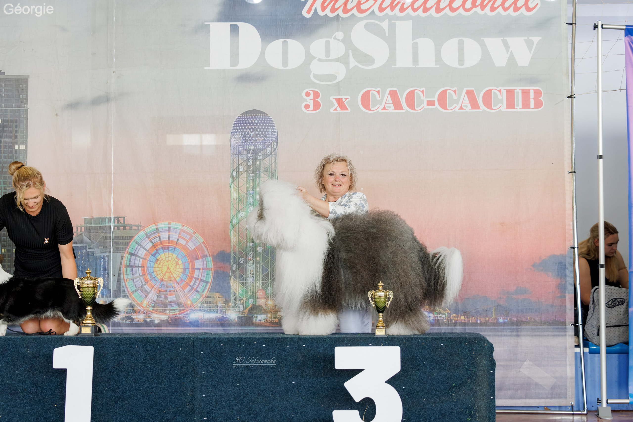 Батуми 3хCACIB 27-29.06.2025. Фотограф-анималист Юлия Германика