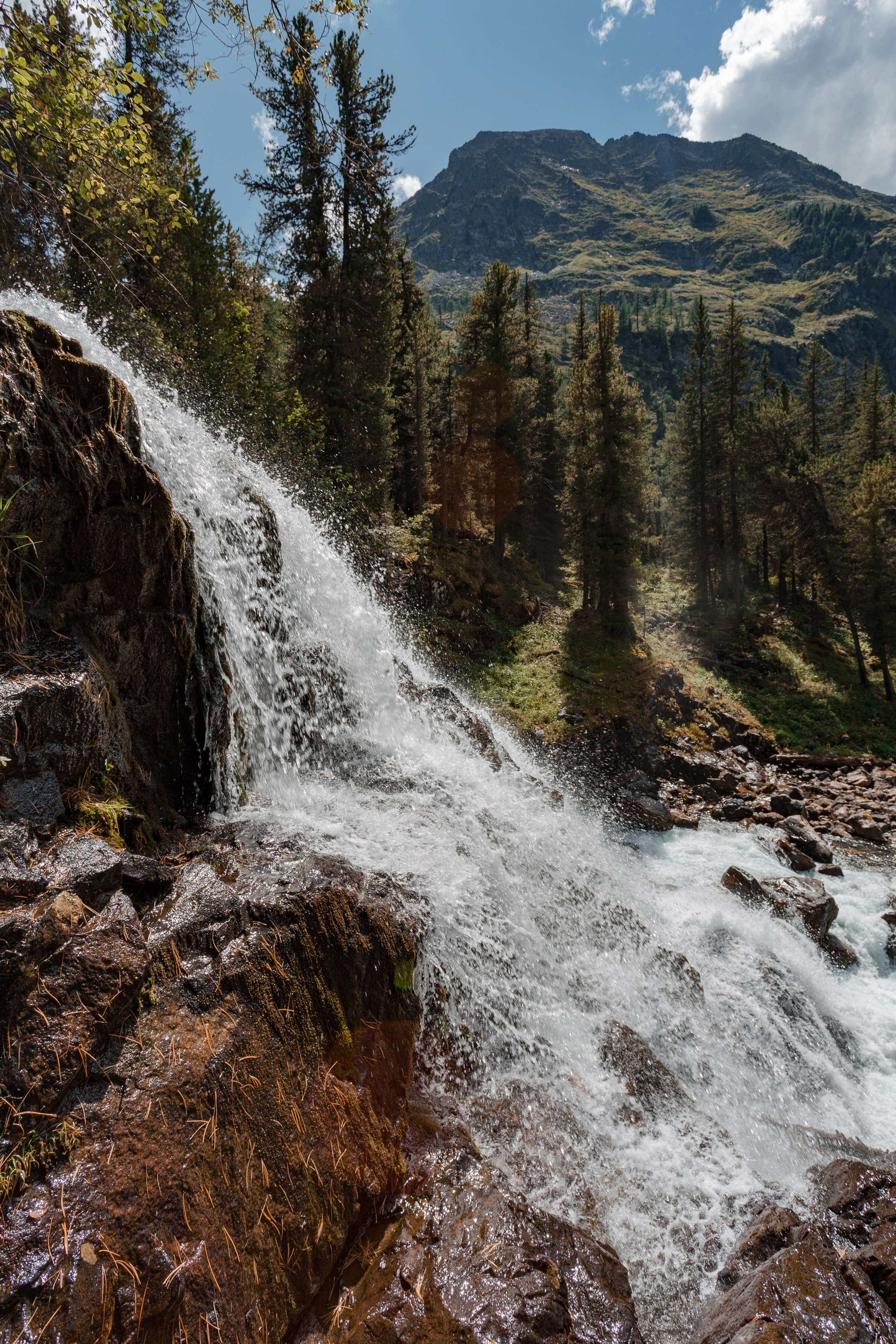 Катунский заповедник, Республика Алтай. Репортажный фотограф в Крыму Ксения Гасица