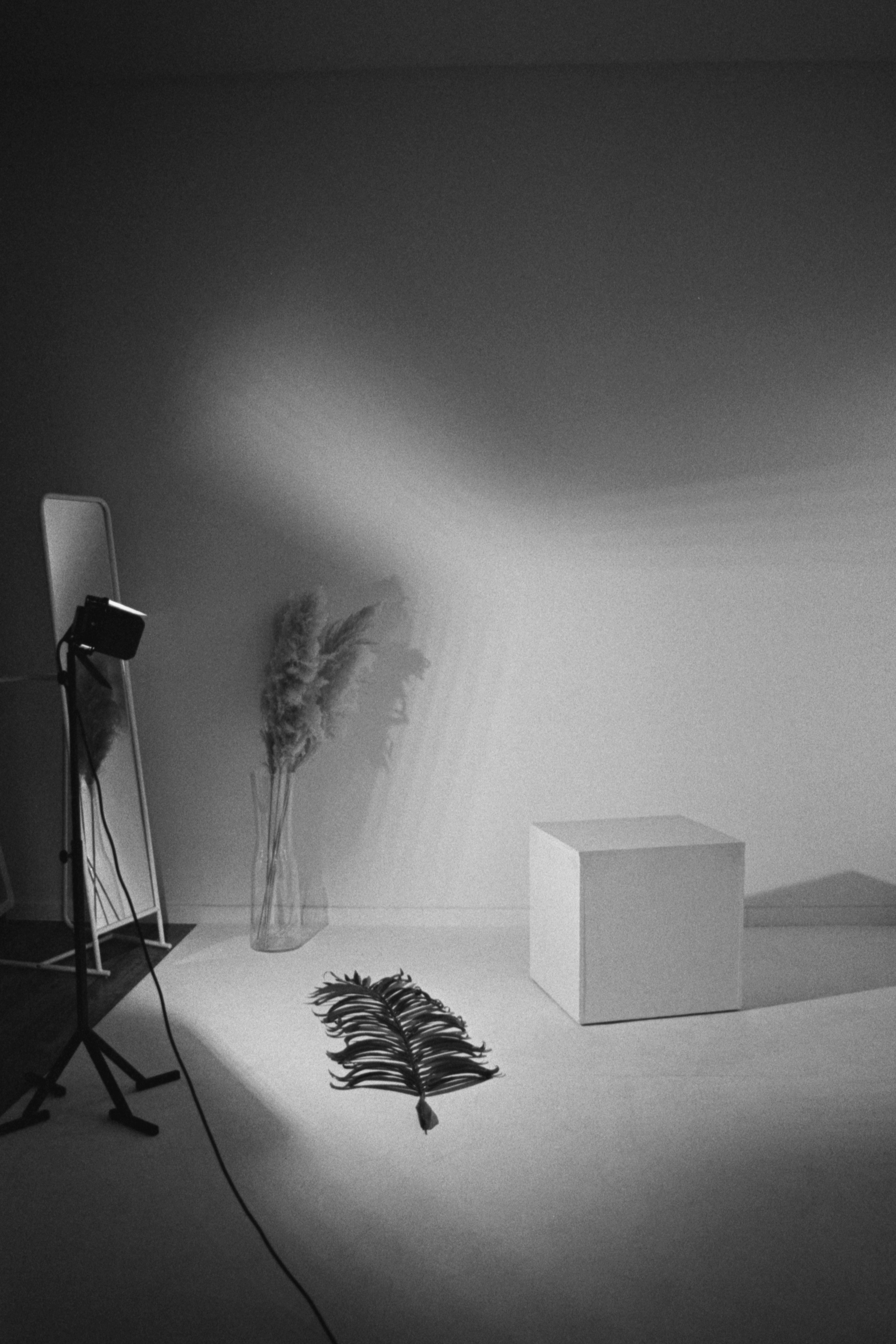 Пленочная история. Дмитрий Пропадалин, Нейрофотография