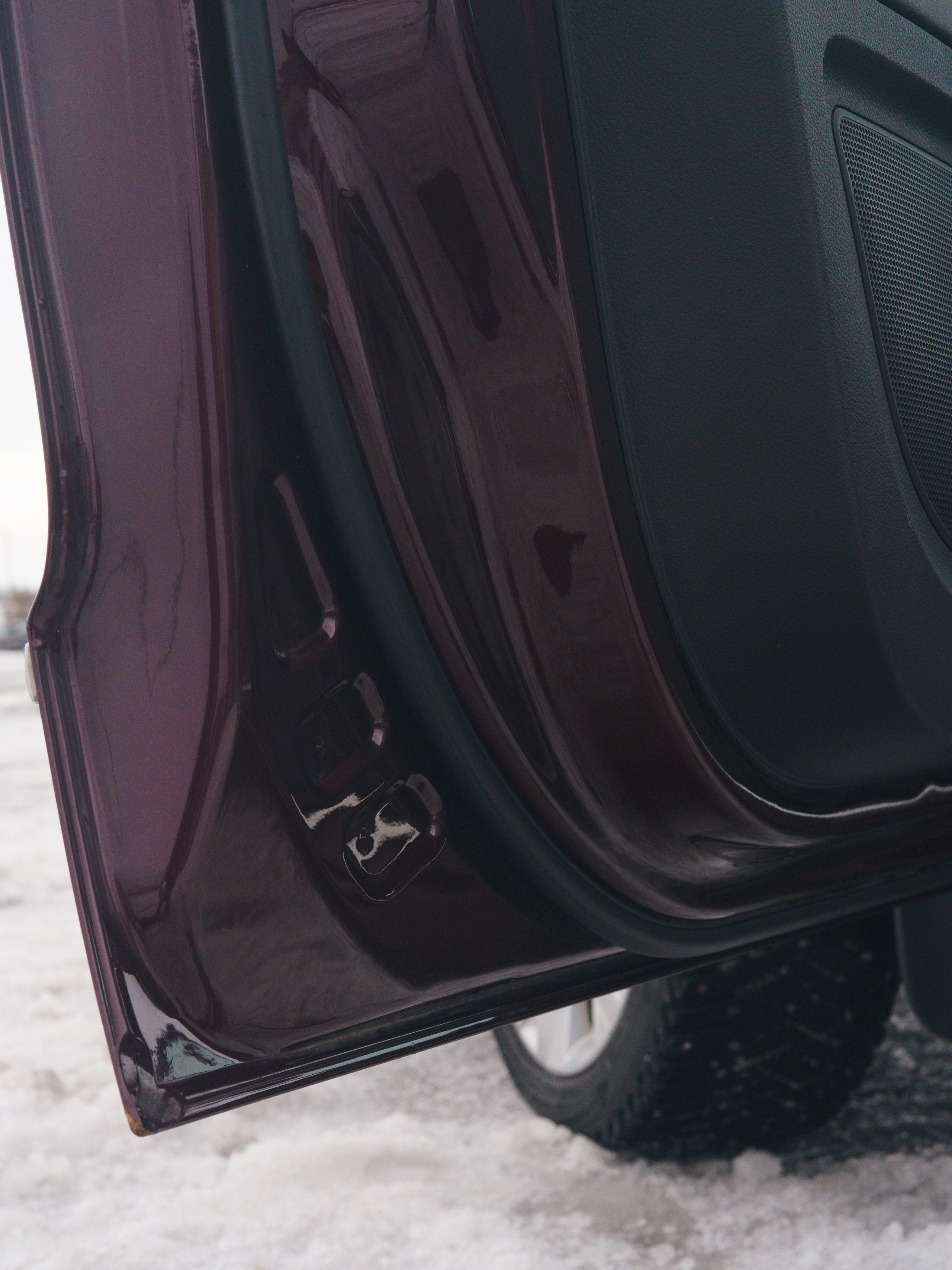 Без жуков! (2)