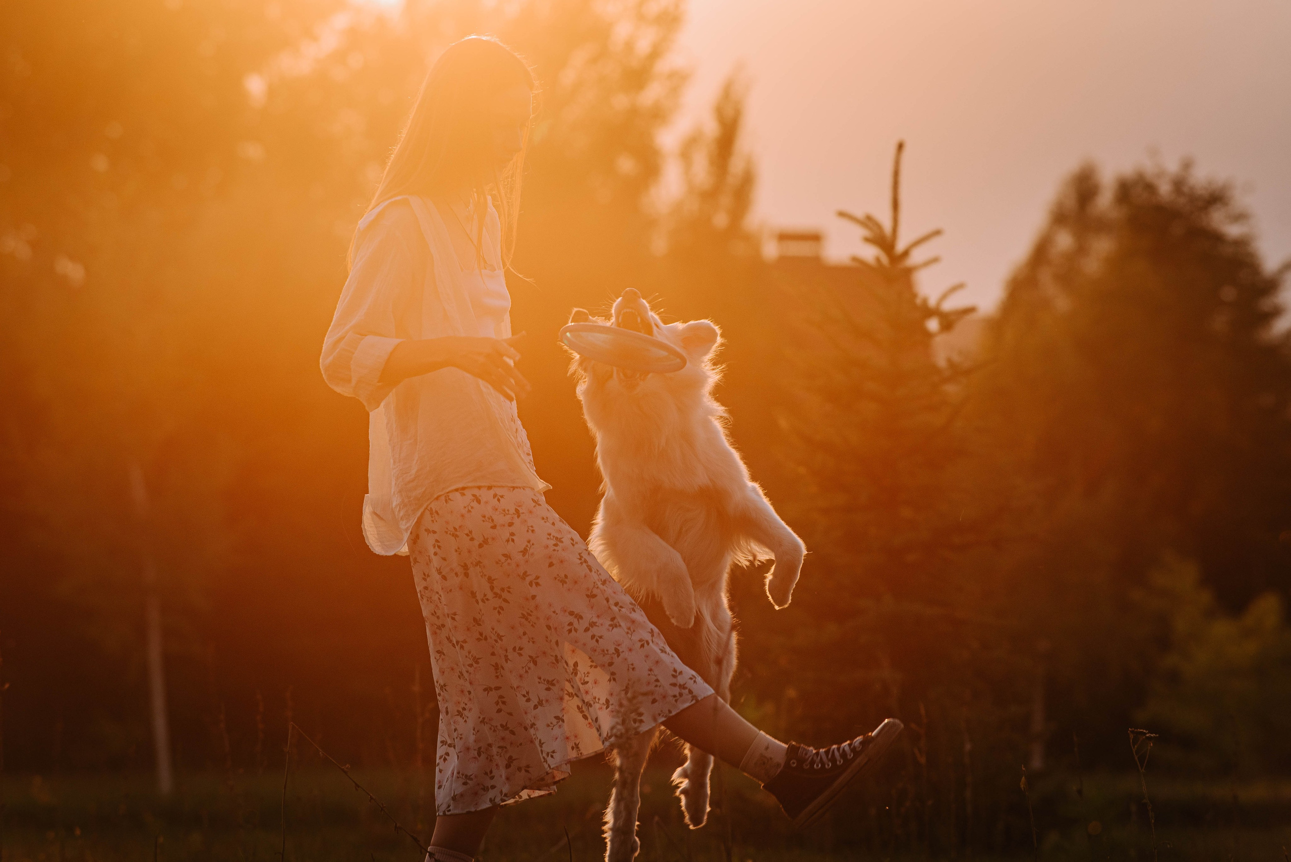 Лиза и Айви. Главная
