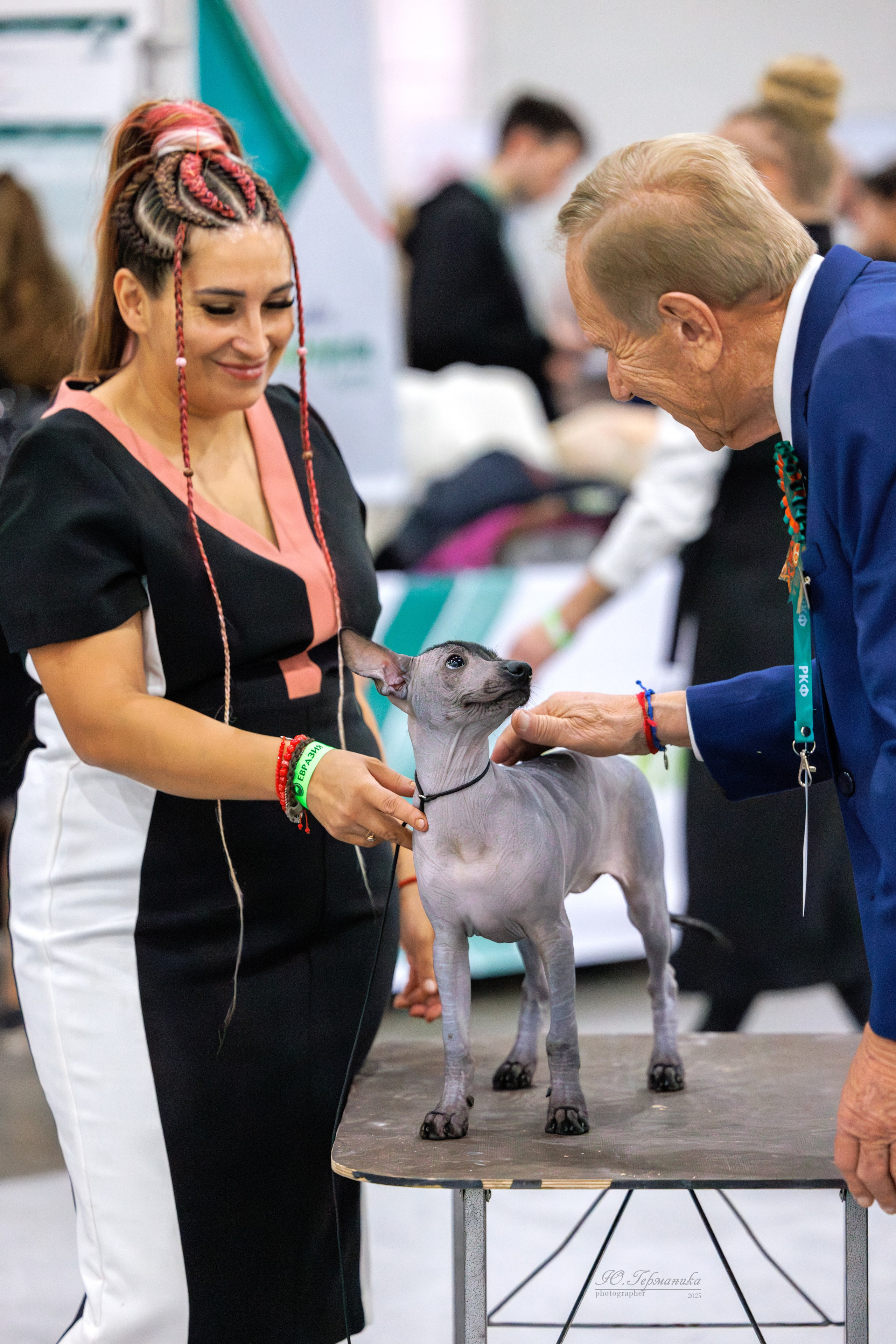 Евразия 15-16.11.2025. Фотограф-анималист Юлия Германика