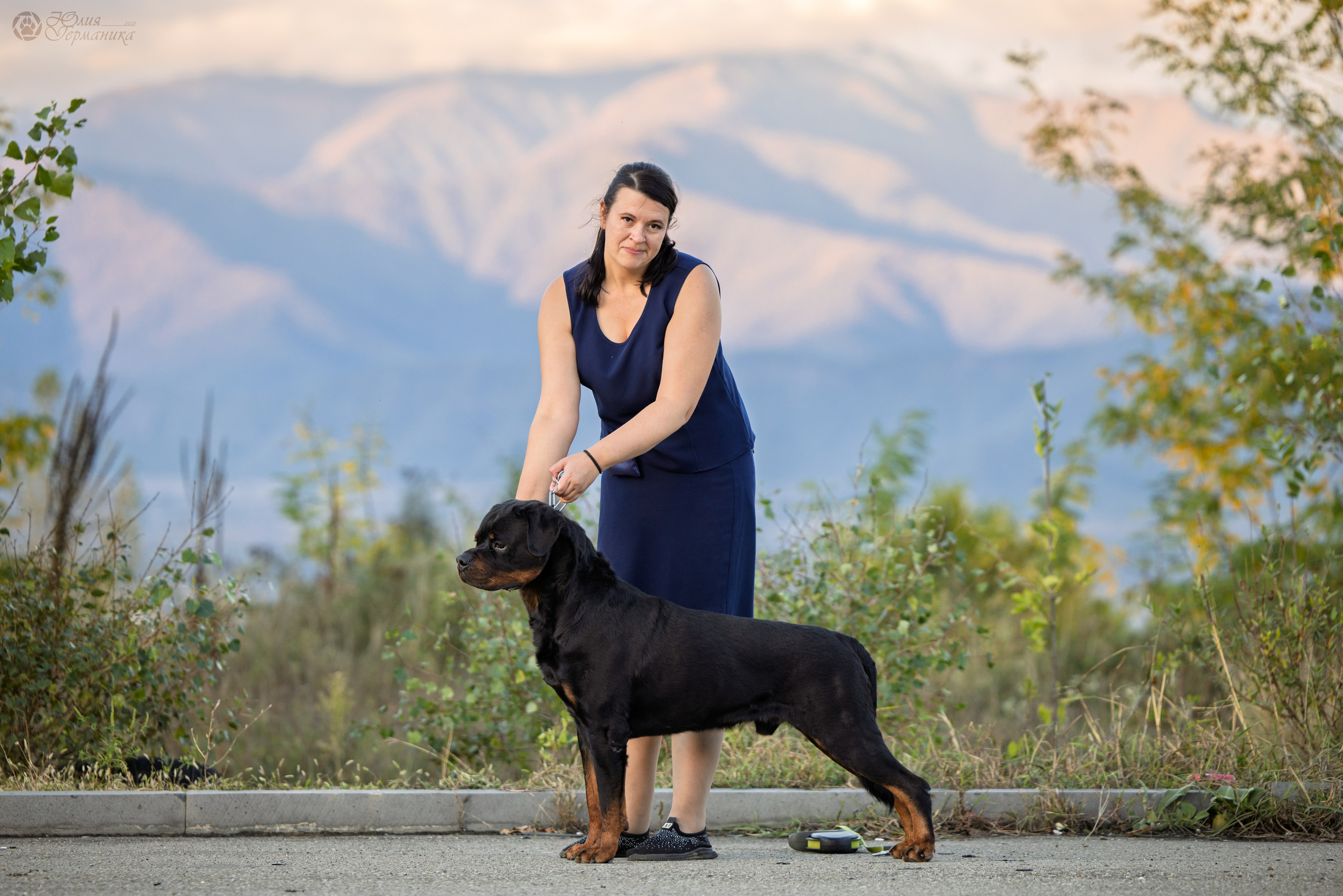 Грузия,Телави 2хCACIB 19-20.10.2024. Фотограф-анималист Юлия Германика