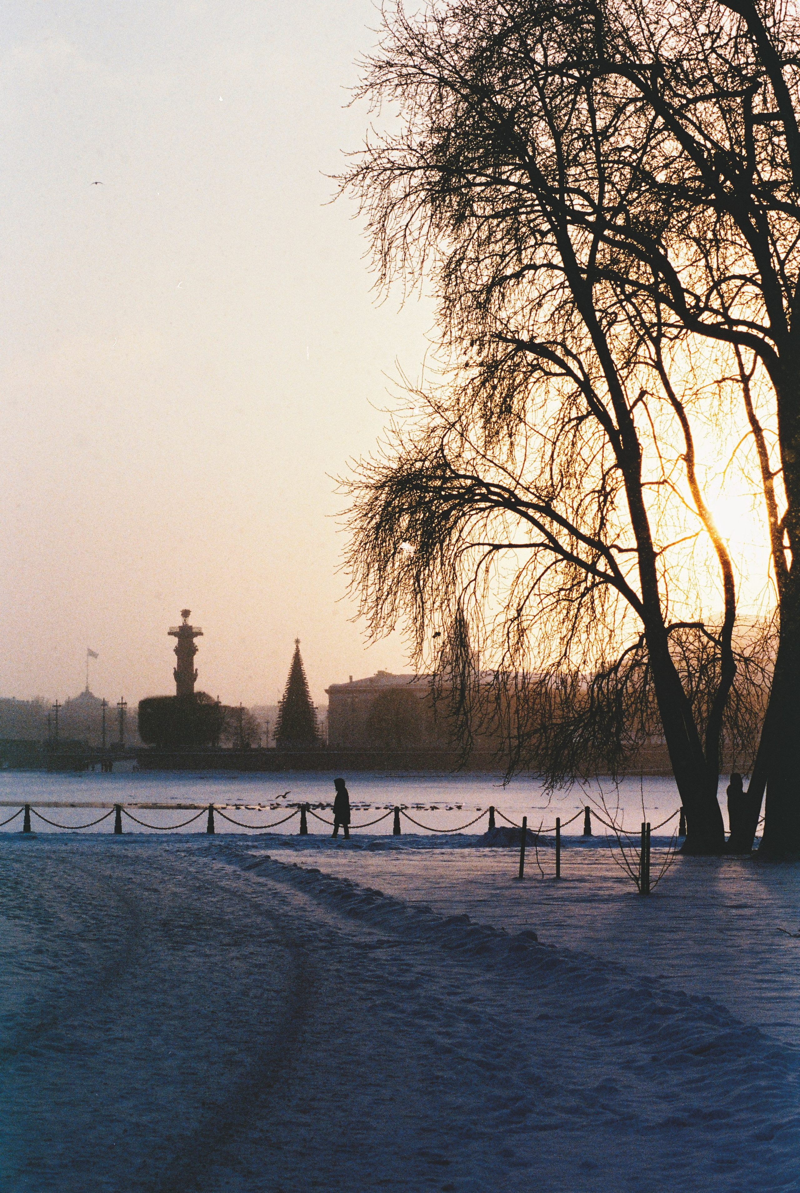 Фотографии цветные. Свадебный и семейный пленочный фотограф в Петербурге Истомина Ирина