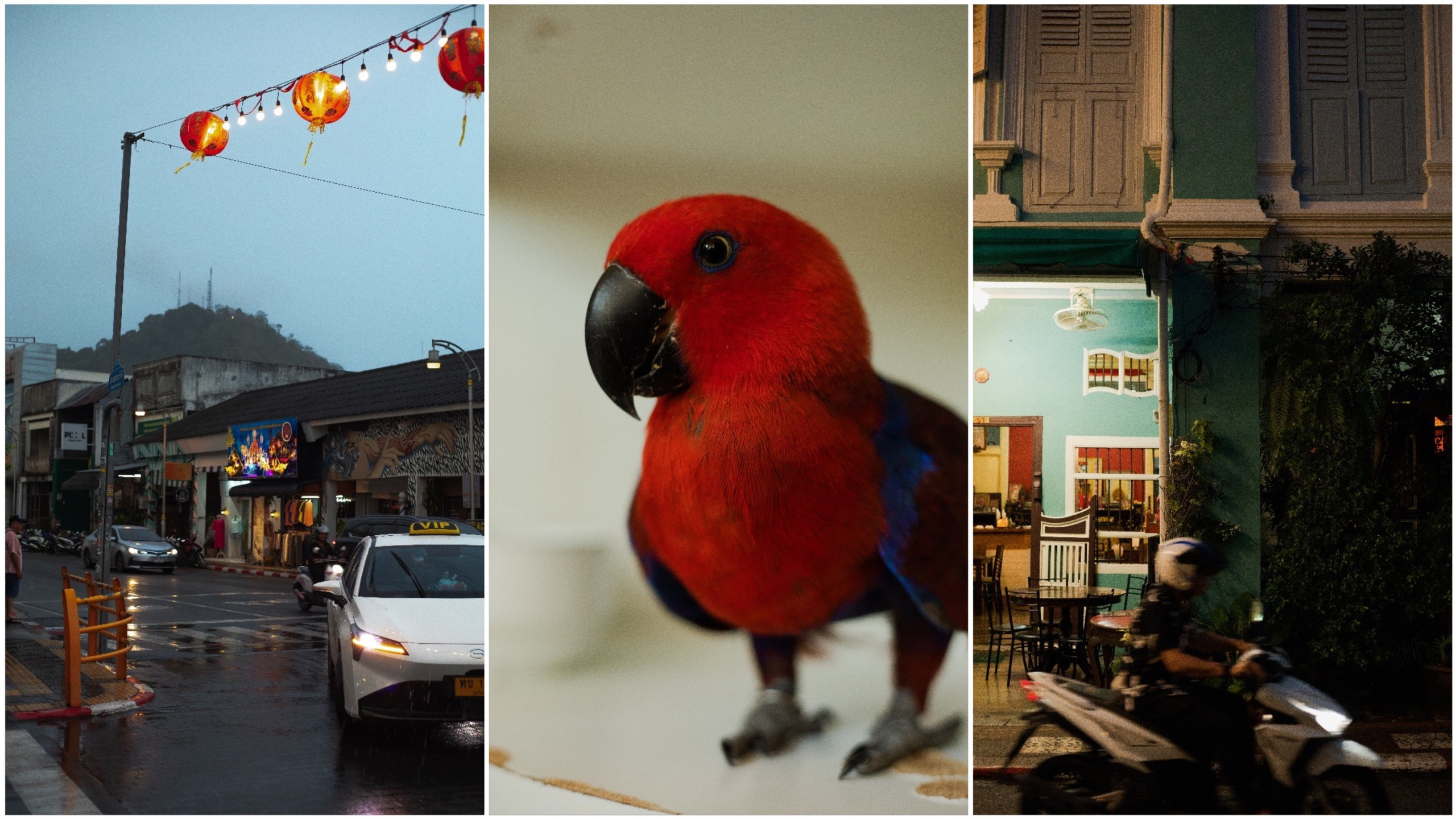 Фотограф Красногорск — Москва|Сёма Юдин