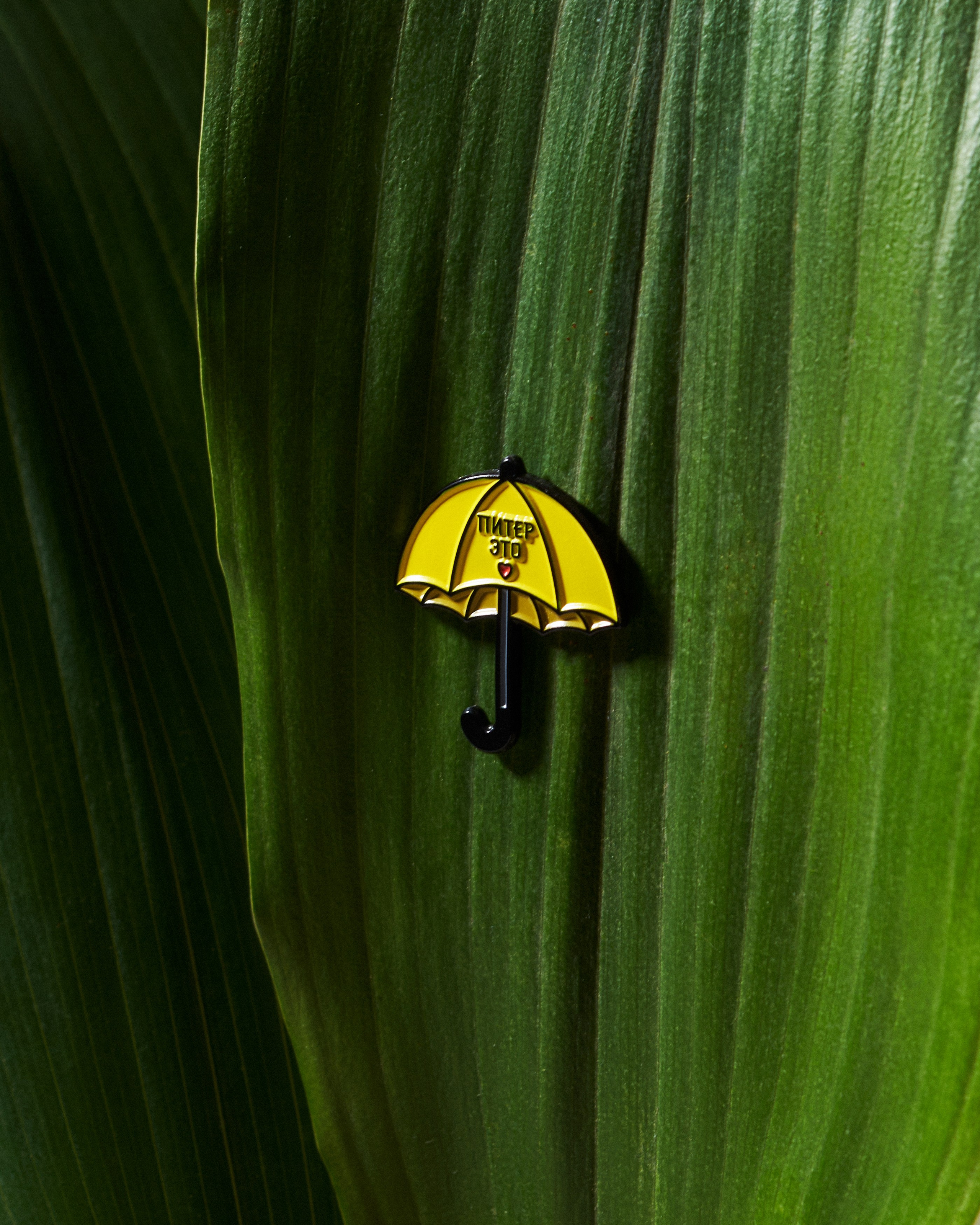 Waf-Waf. Предметный фотограф в Москве Софья Боргардт