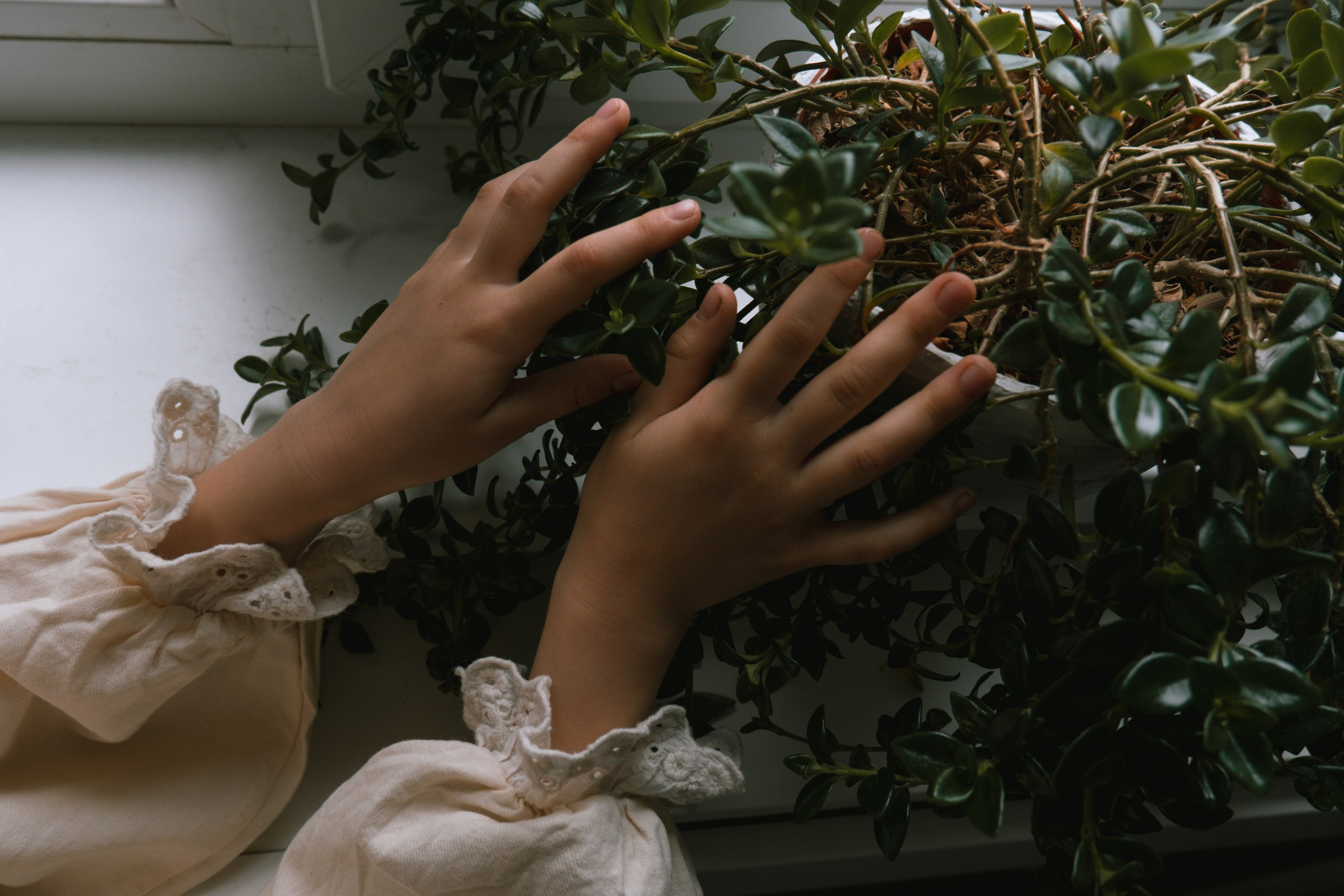 Татьяна с семьей. Главная