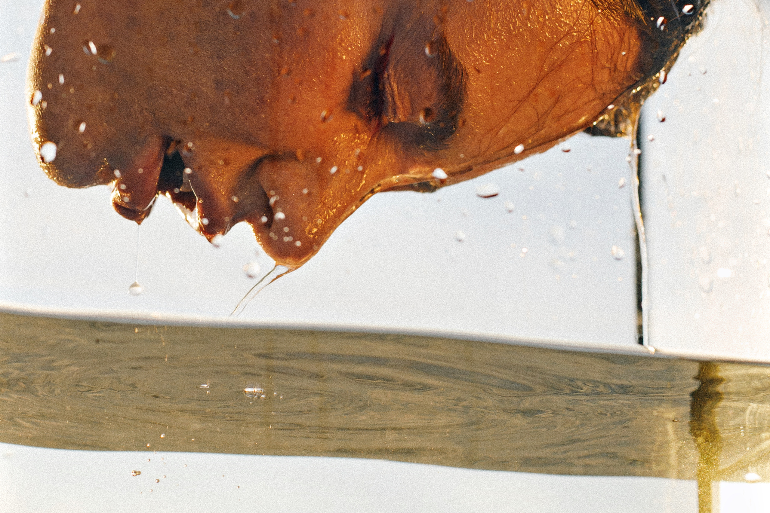 Фотограф Андрей Куськало