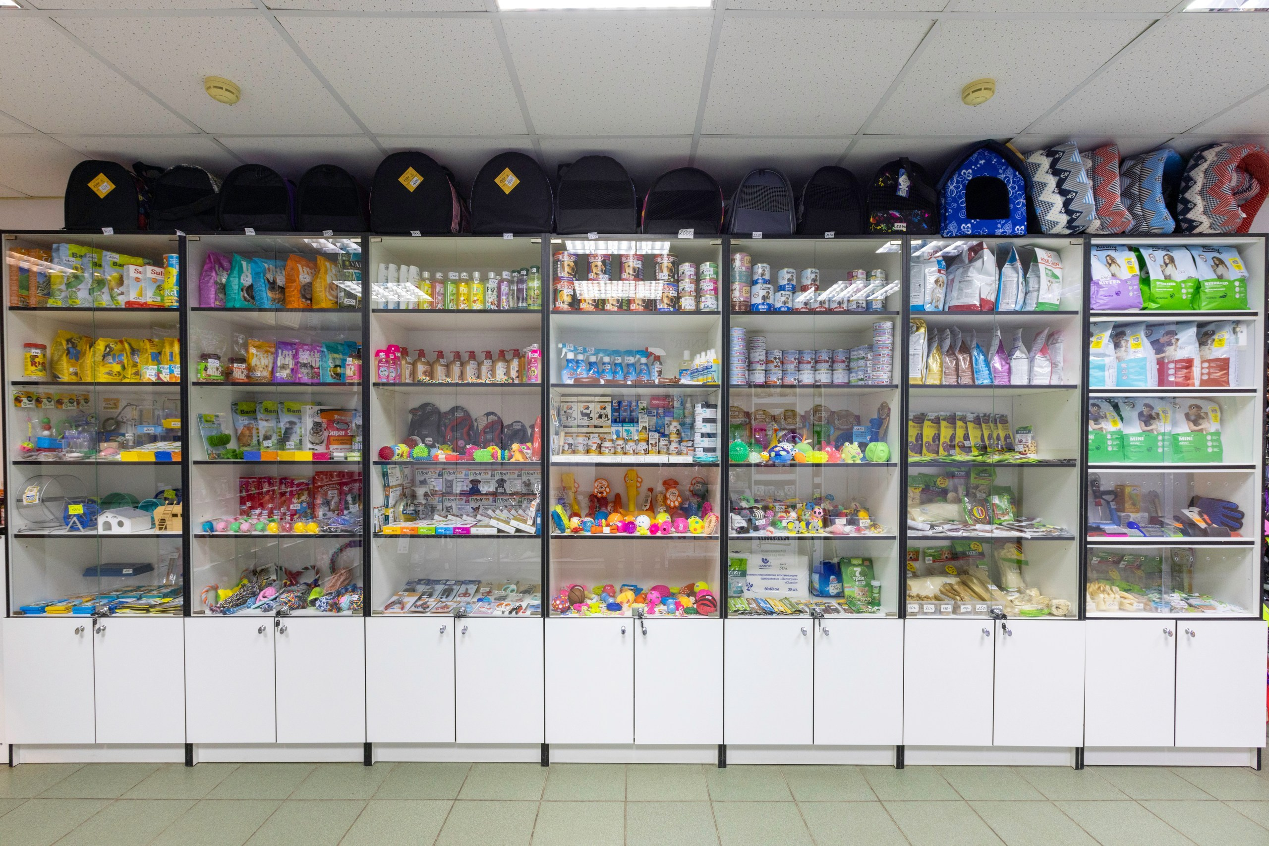 БАРОН. Ветеринарная клиника. Фотограф в Туле Крупский АнДРей. Фотостудия «КАДР71» в Туле