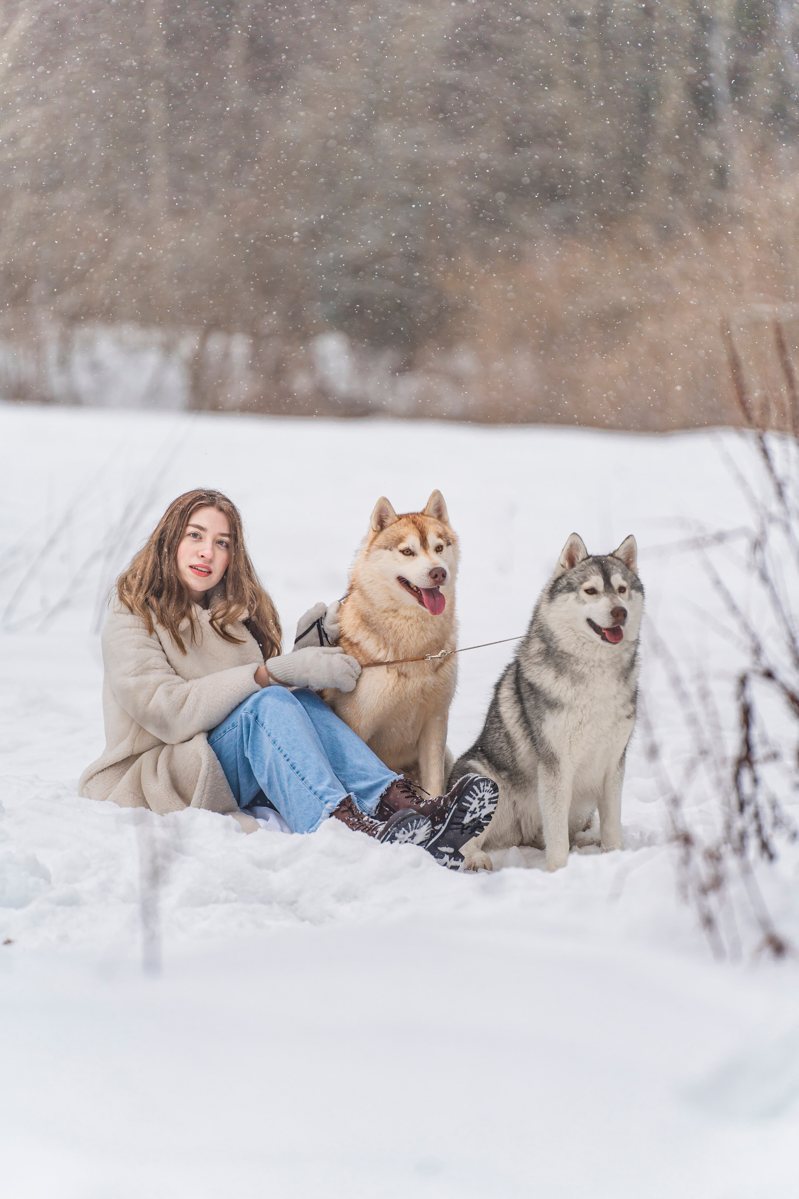Светлана и хаски. Фотограф в Москве Ленарская Дарья
