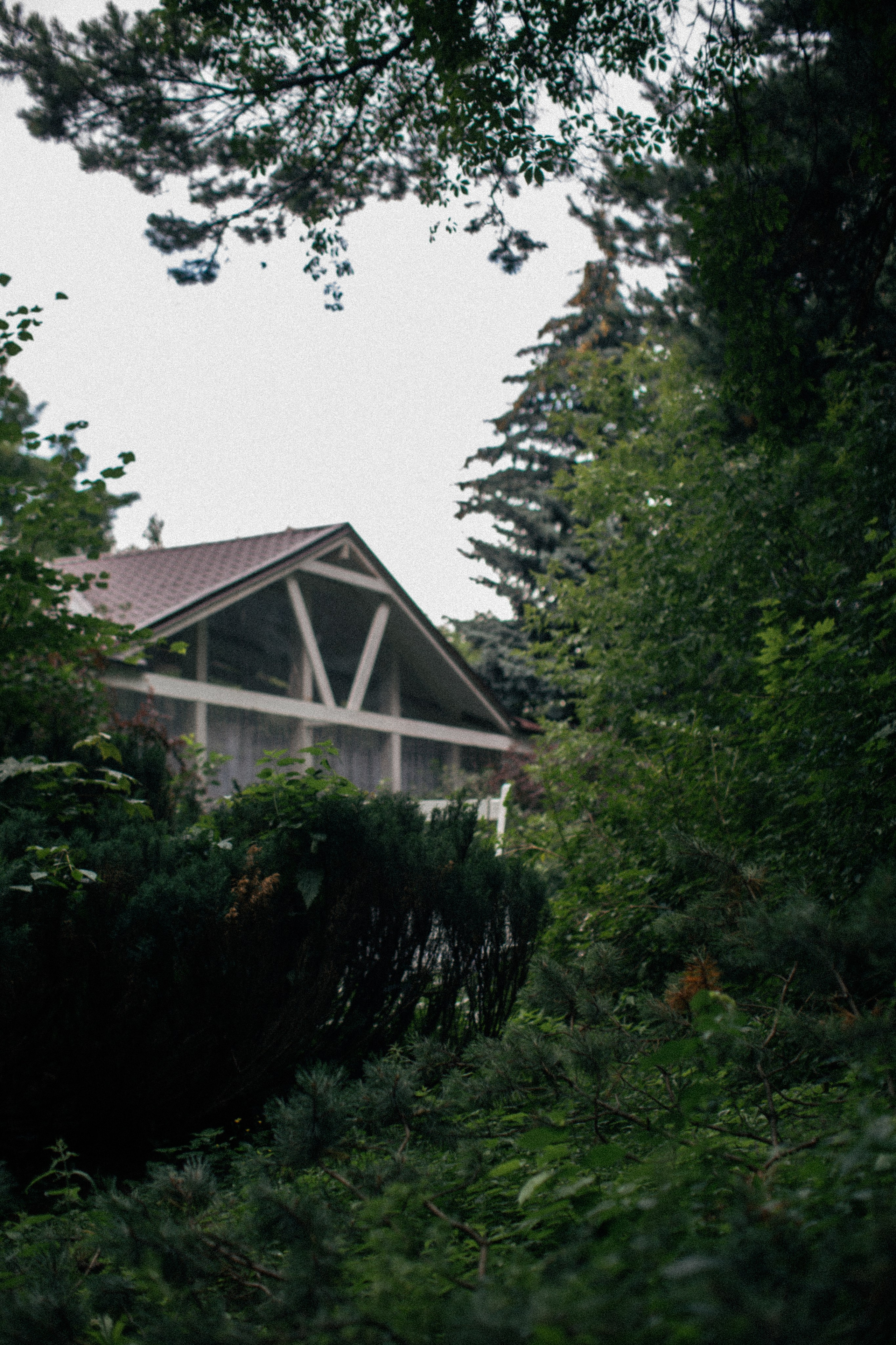 23/07/23. Фотограф НатаФото (Наталья Яковенко) Дмитров Москва Питер