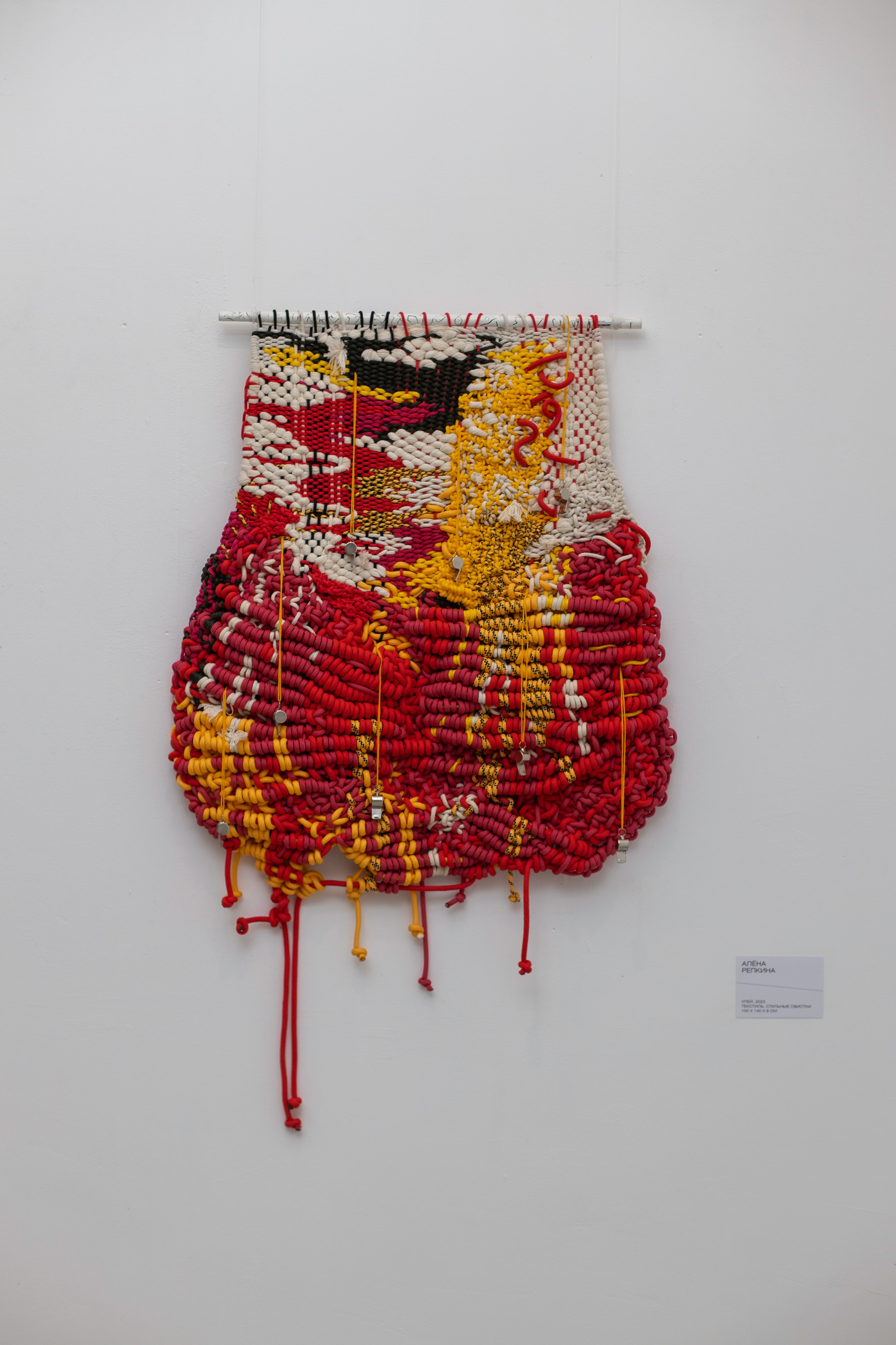 Открытие выставки пульсирующая материя. Фотограф в Москве Десятова Ксения