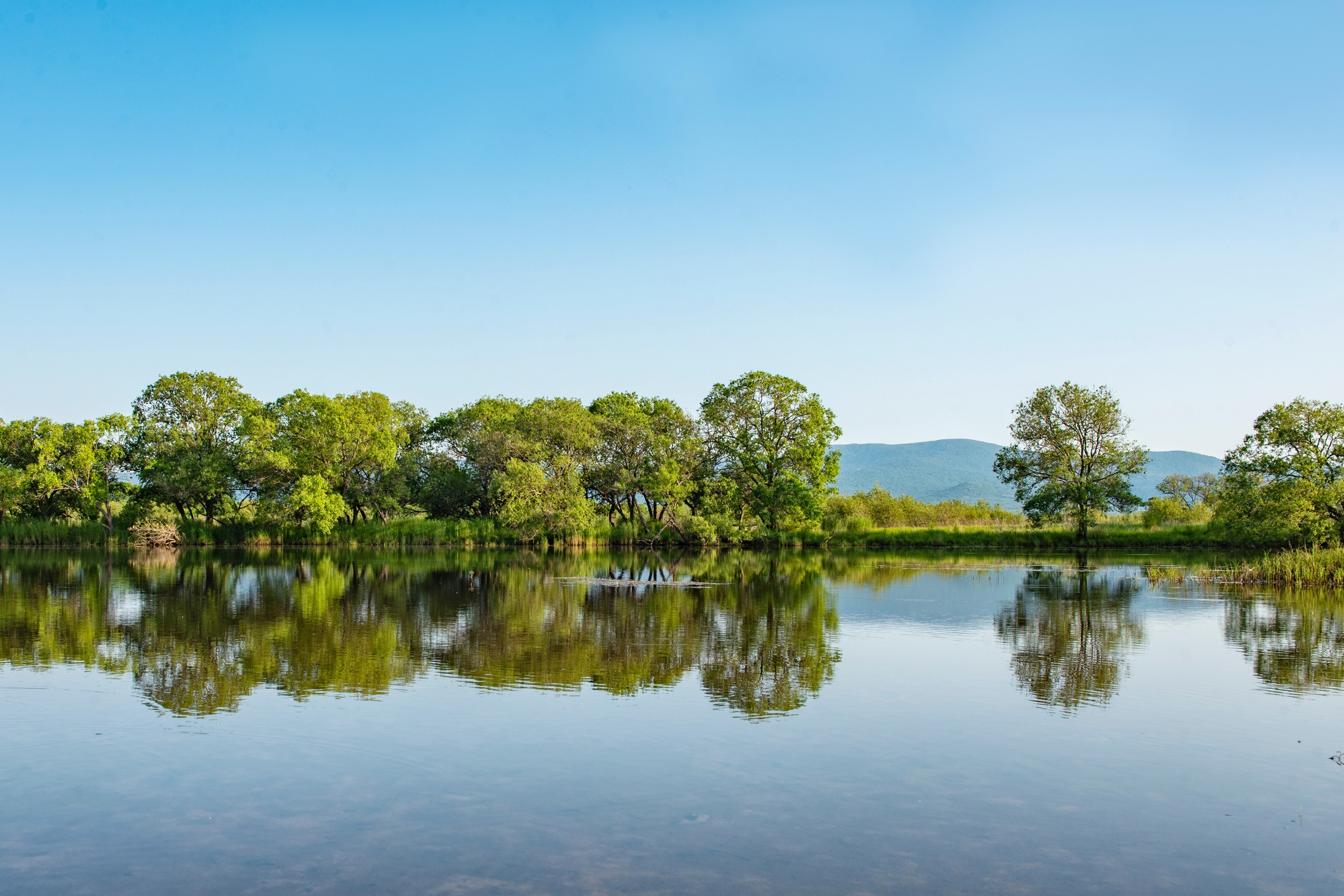 Природа Хабаровского края. Команда фотографов Кристины Ивановой