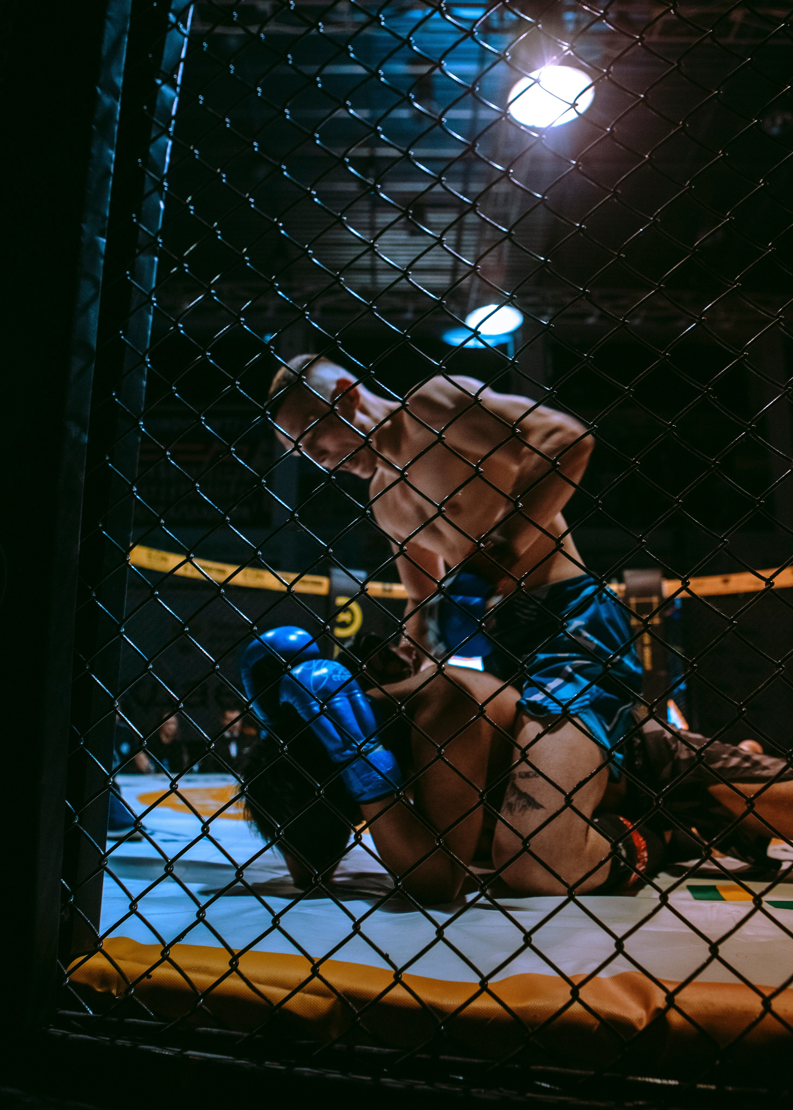 SFL 17 | Siberian Fighting League. Портретный фотограф в Москве Дарья Цезария