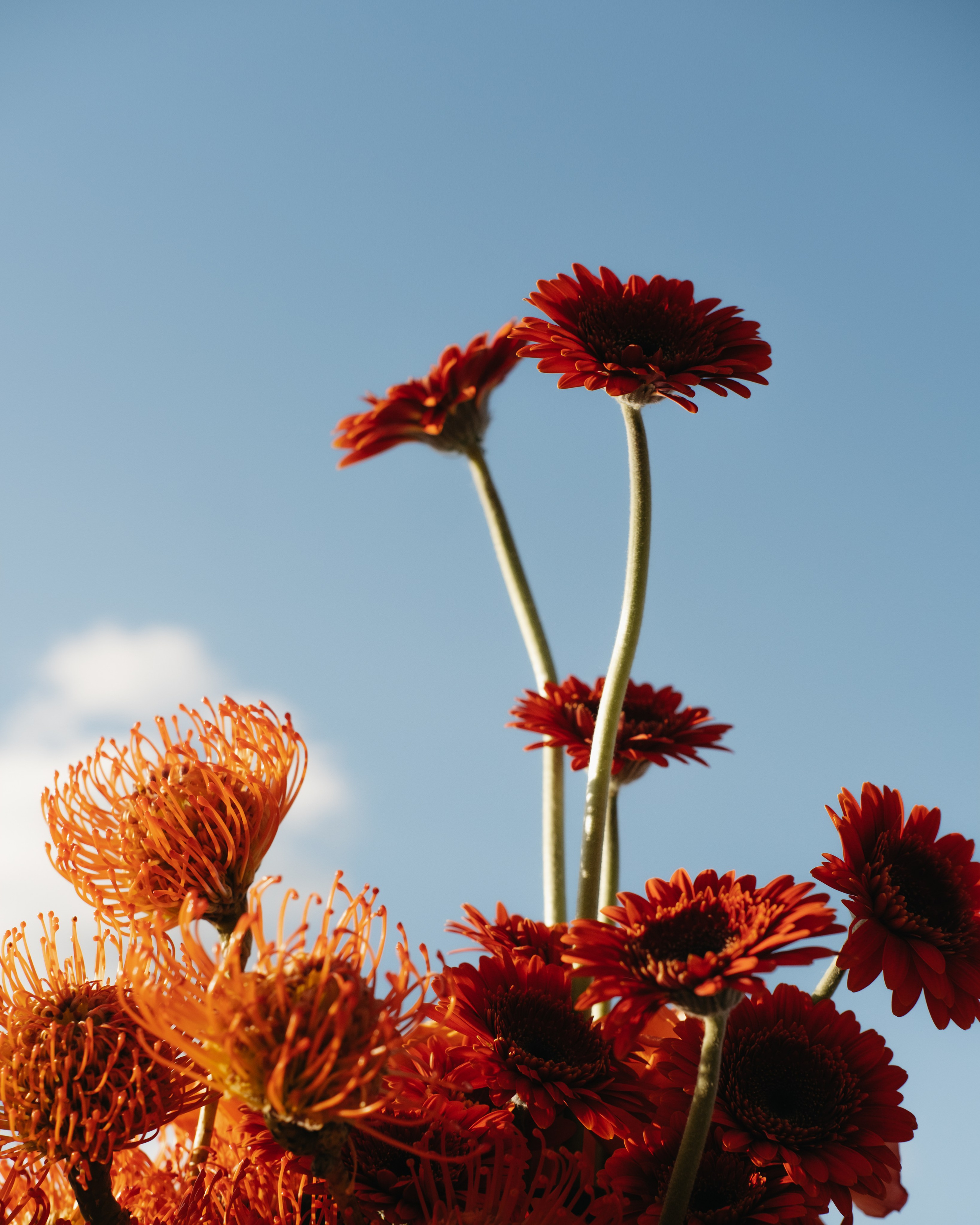 Презентация Союза дизайнеров РТ. Обо мне