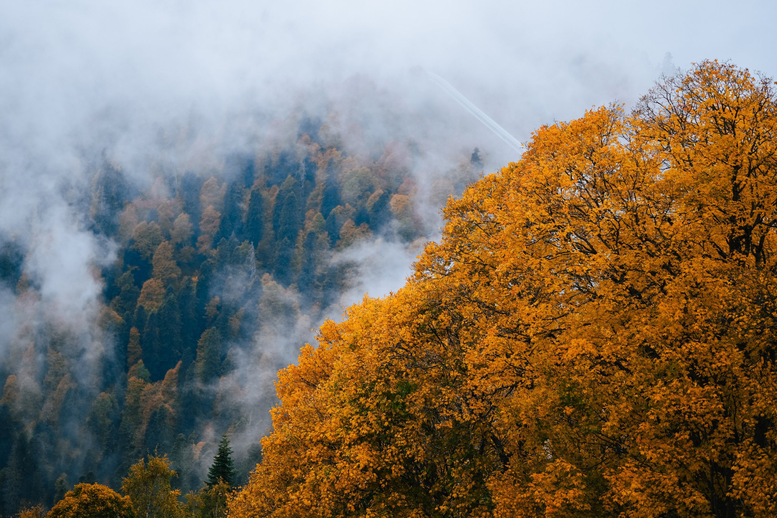 Роза Пик, тропа Турья ✽ Октябрь. Репортажный фотограф | Роза Хутор Красная Поляна Сочи Сириус