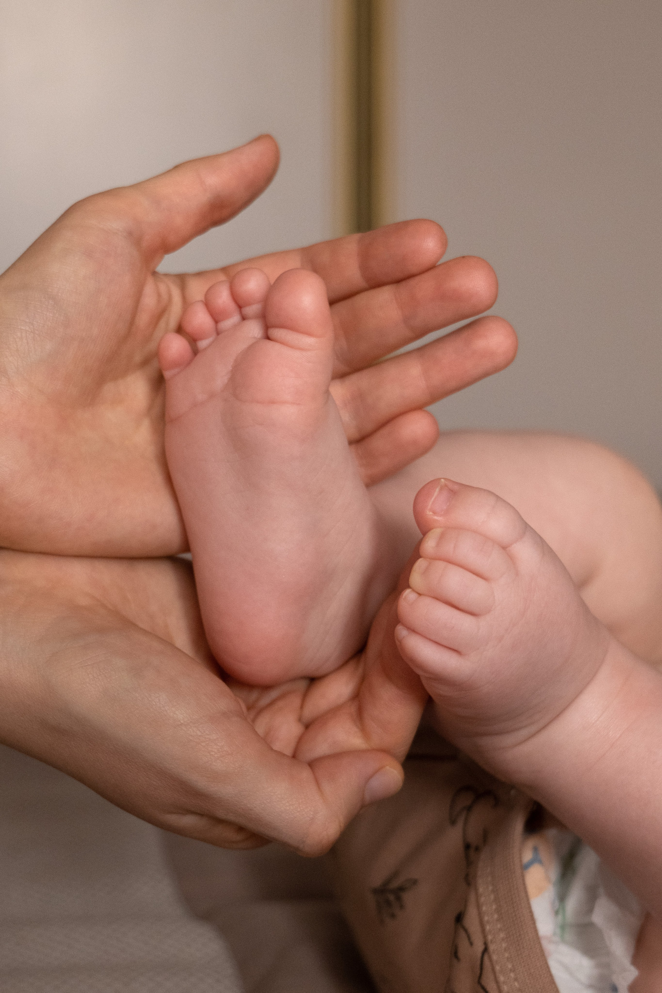 Мишке 4 месяца. Фотограф видеограф Ольга Василевская