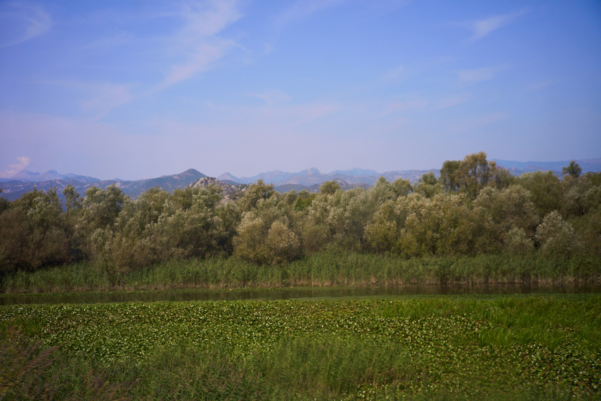 Черногория, сентябрь 2024. Фотограф, Римма Невинская