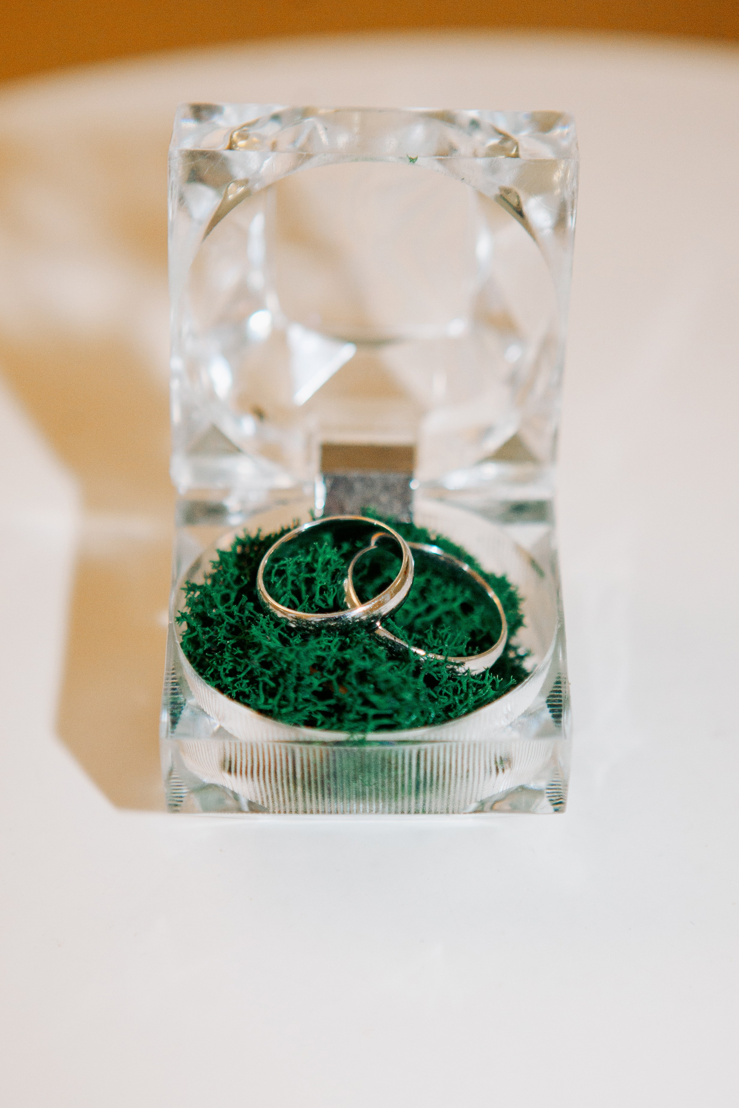 Никита и Анна. Фотограф Ольга Ефремова