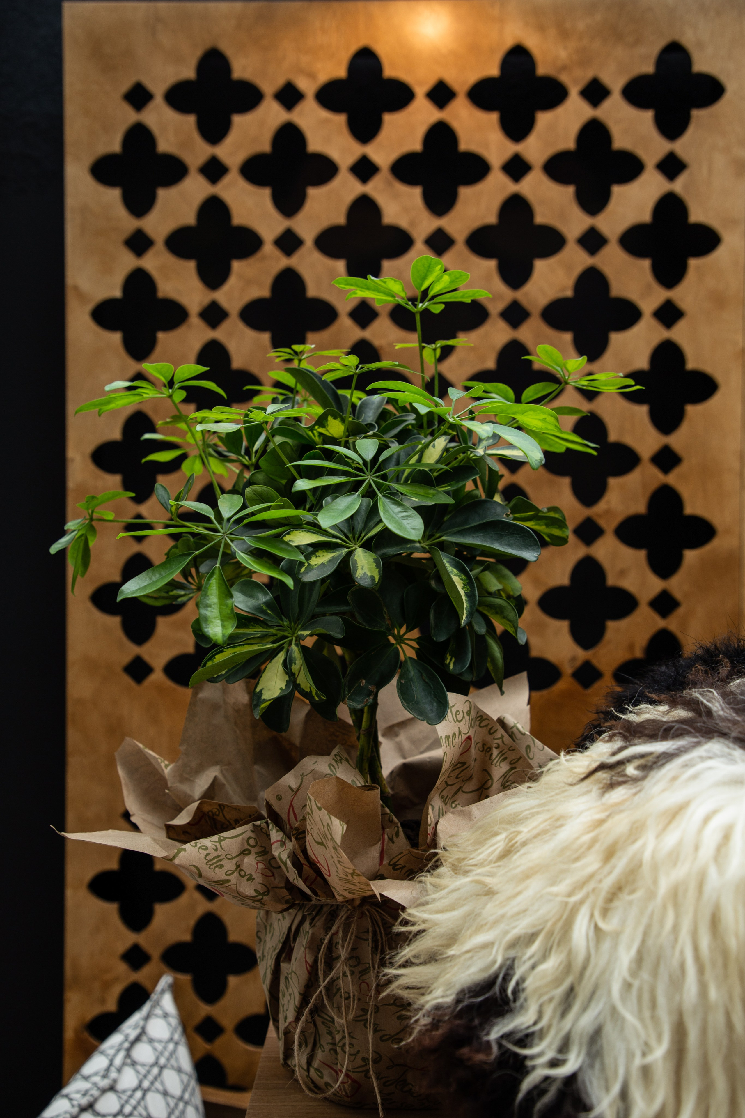 Съемка для ресторана Quzu. Ирина Чернова — портретный фотограф и маркетолог из Владивостока