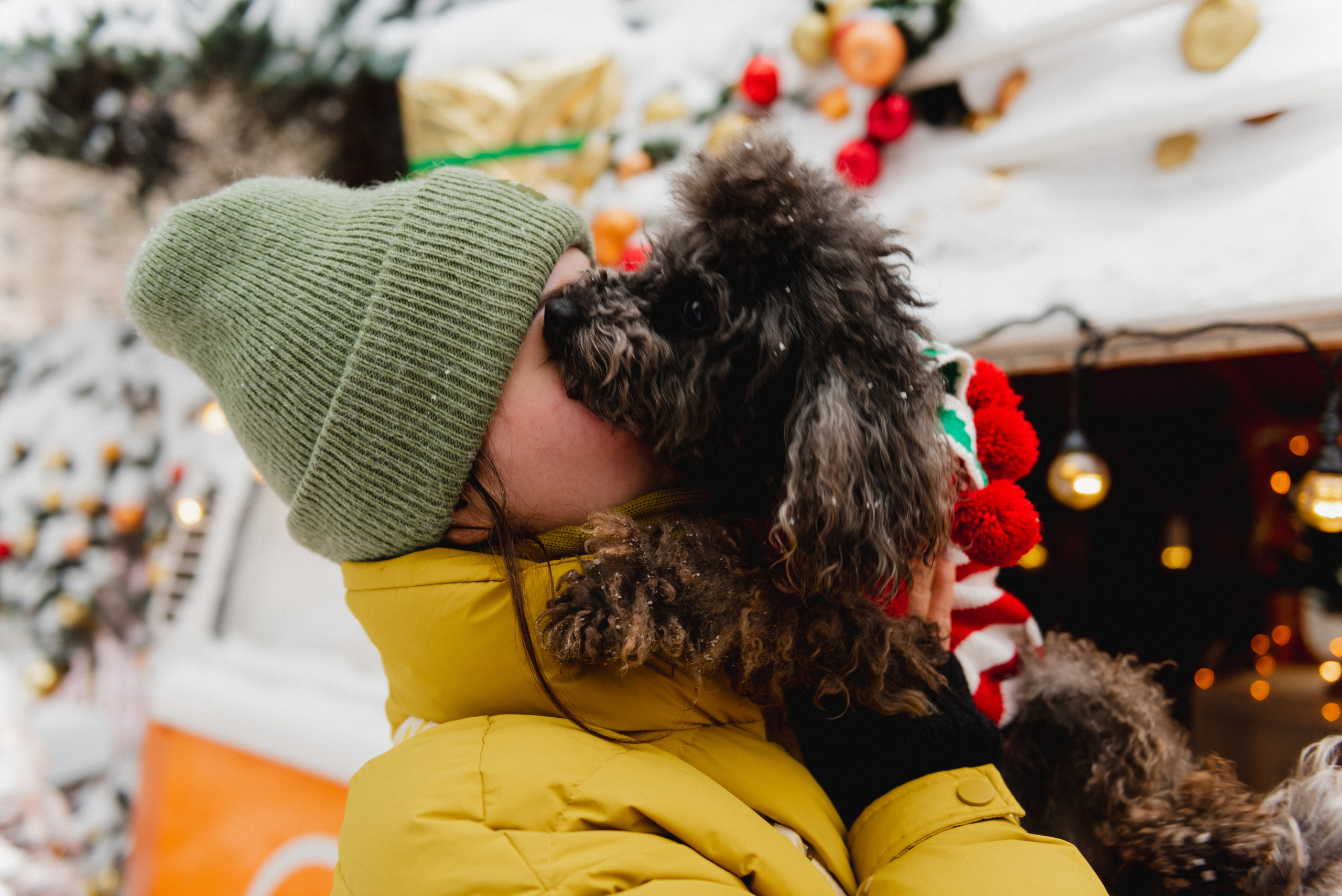 Pets. Фотограф в Москве Daria Lens