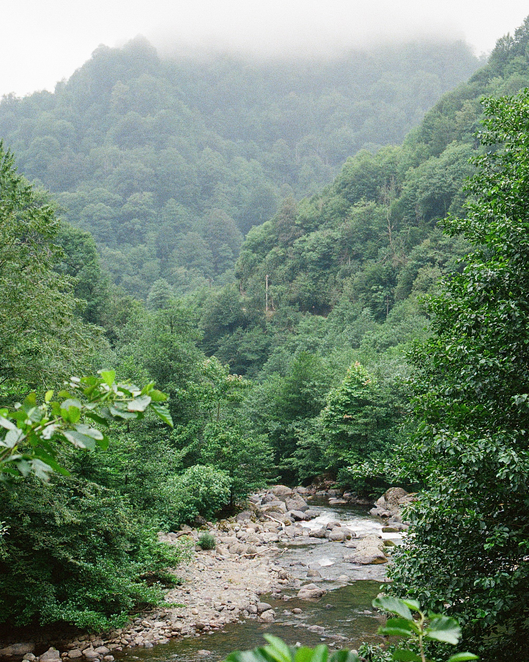 ГРУЗИЯ. ПРИРОДА.25. Профессиональный фотограф Федотова Арина