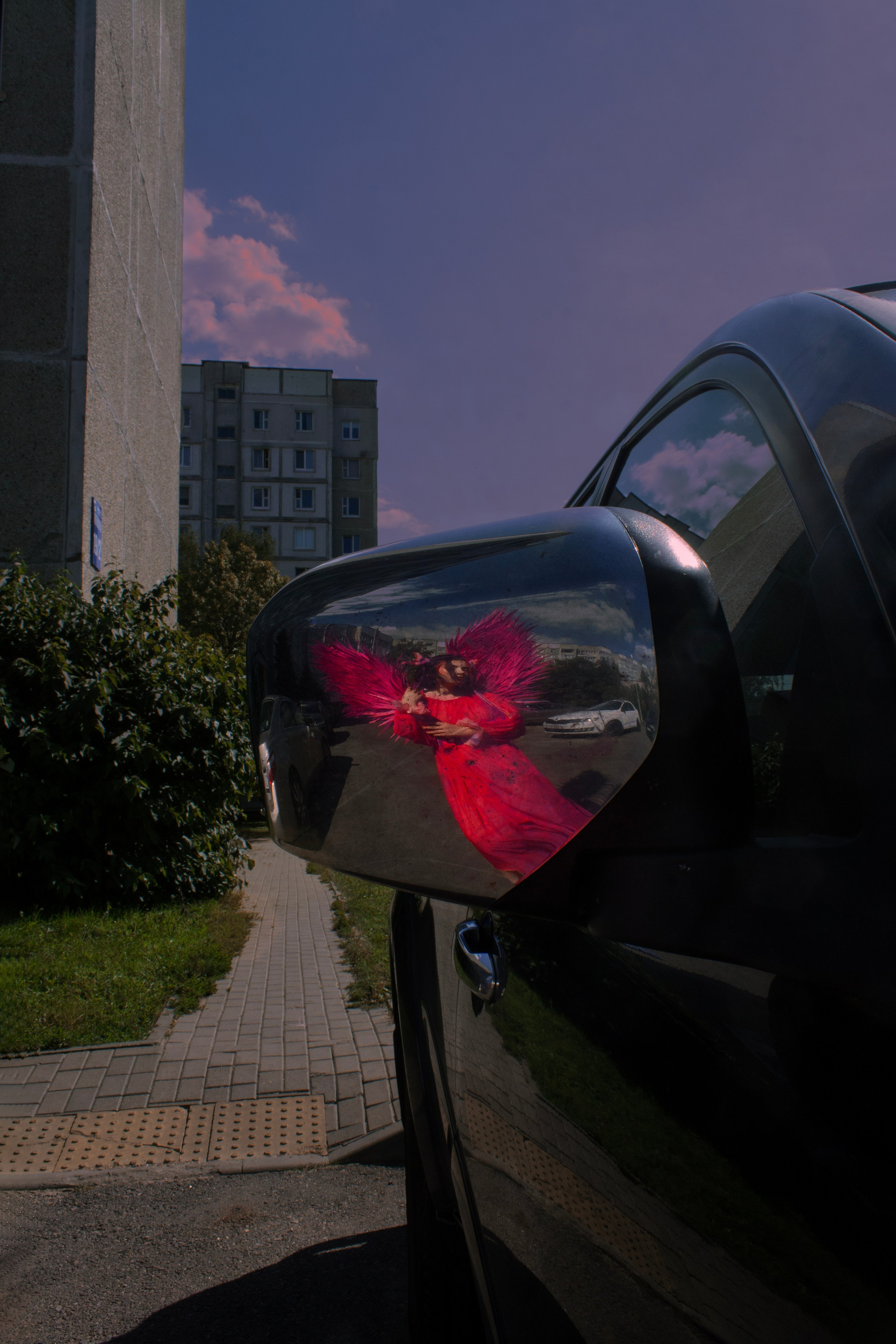 Земля под розовыми крыльями