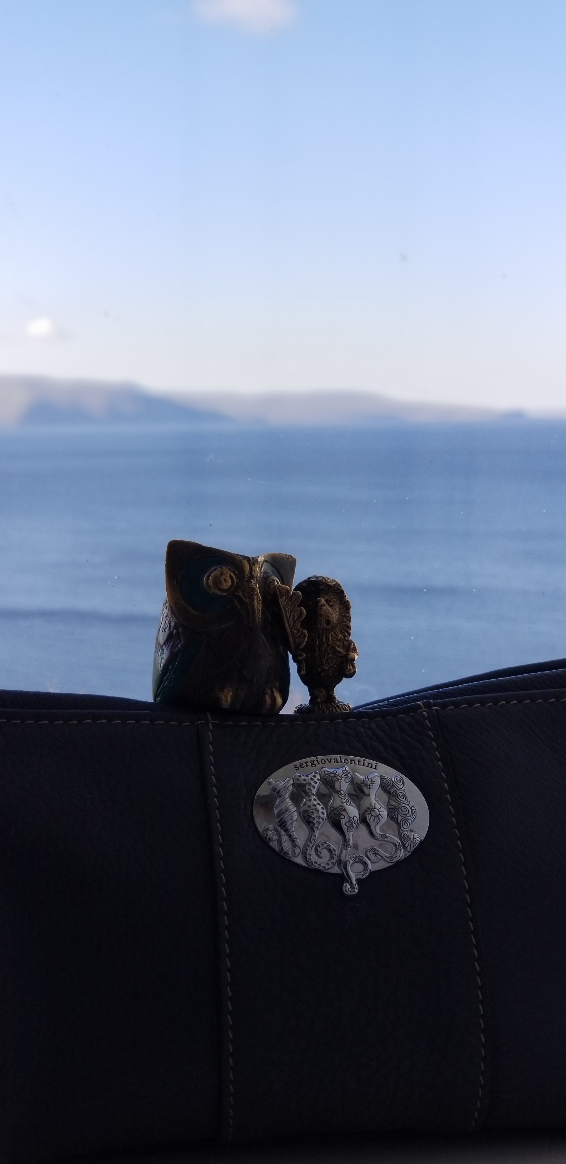 Ёжик и сова. Фотографии