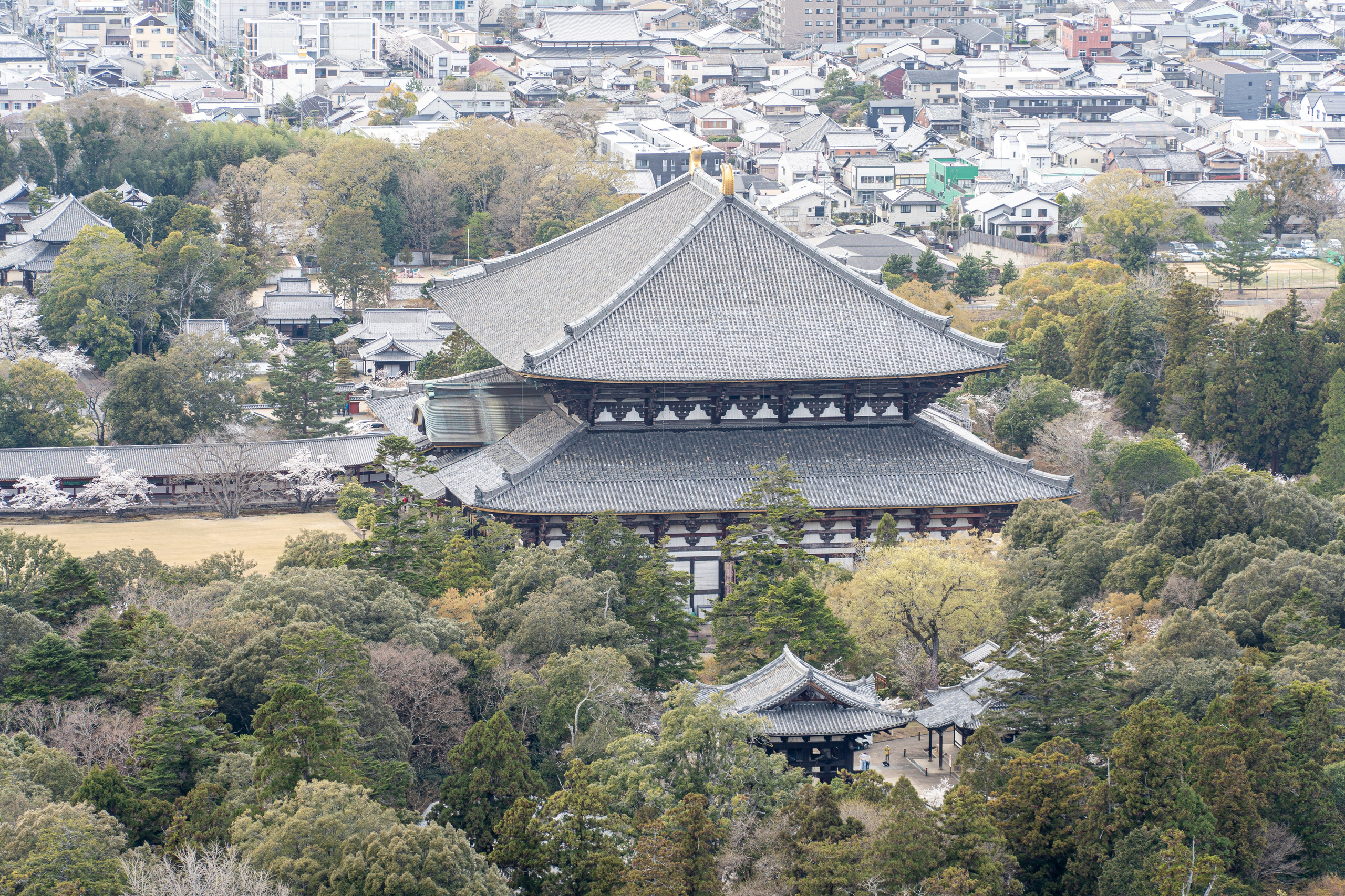 Япония, сакура. Творческие сьемки
