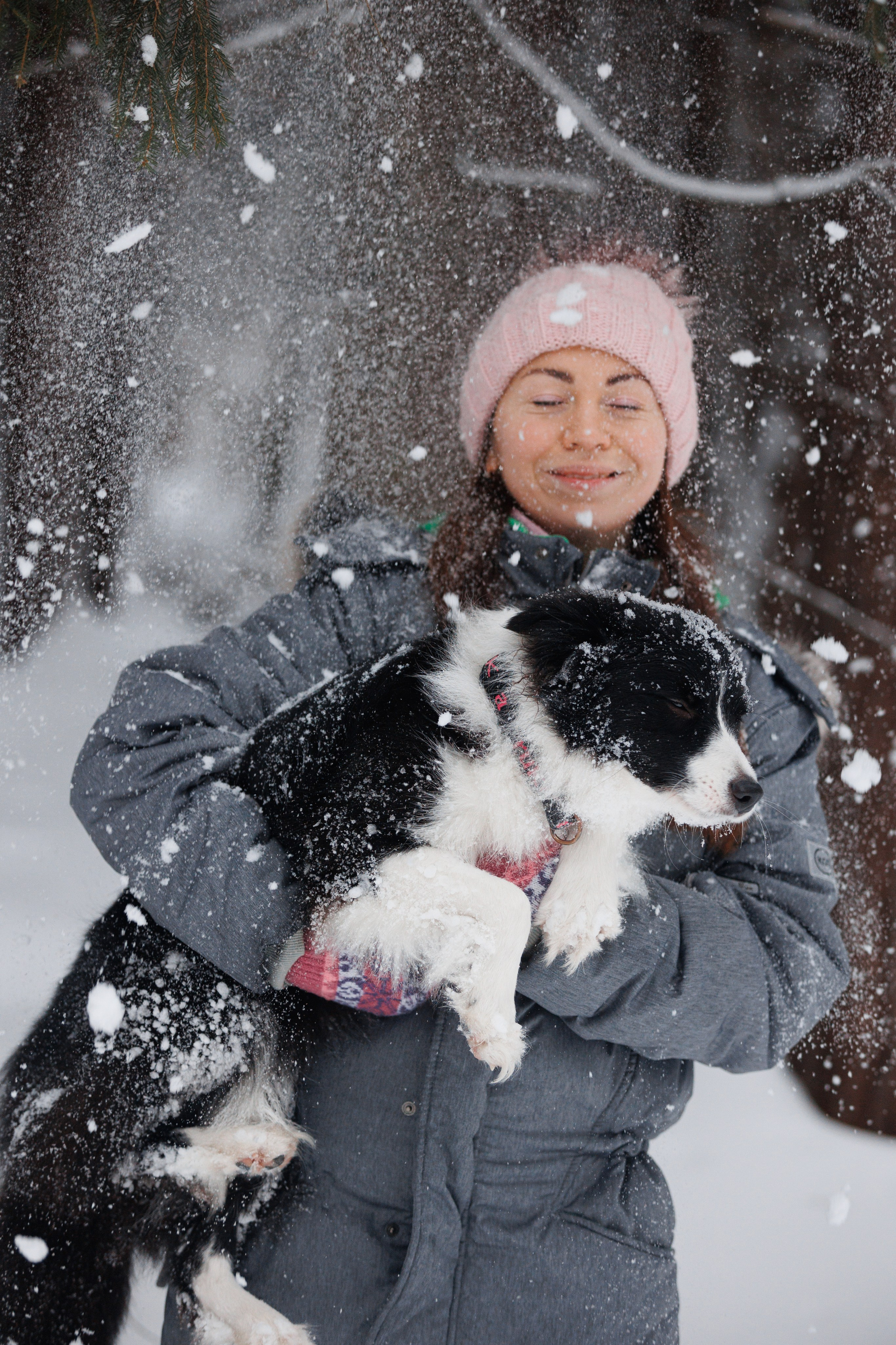 Даша и компания. Фотограф анималист Кристина Карпова, Москва