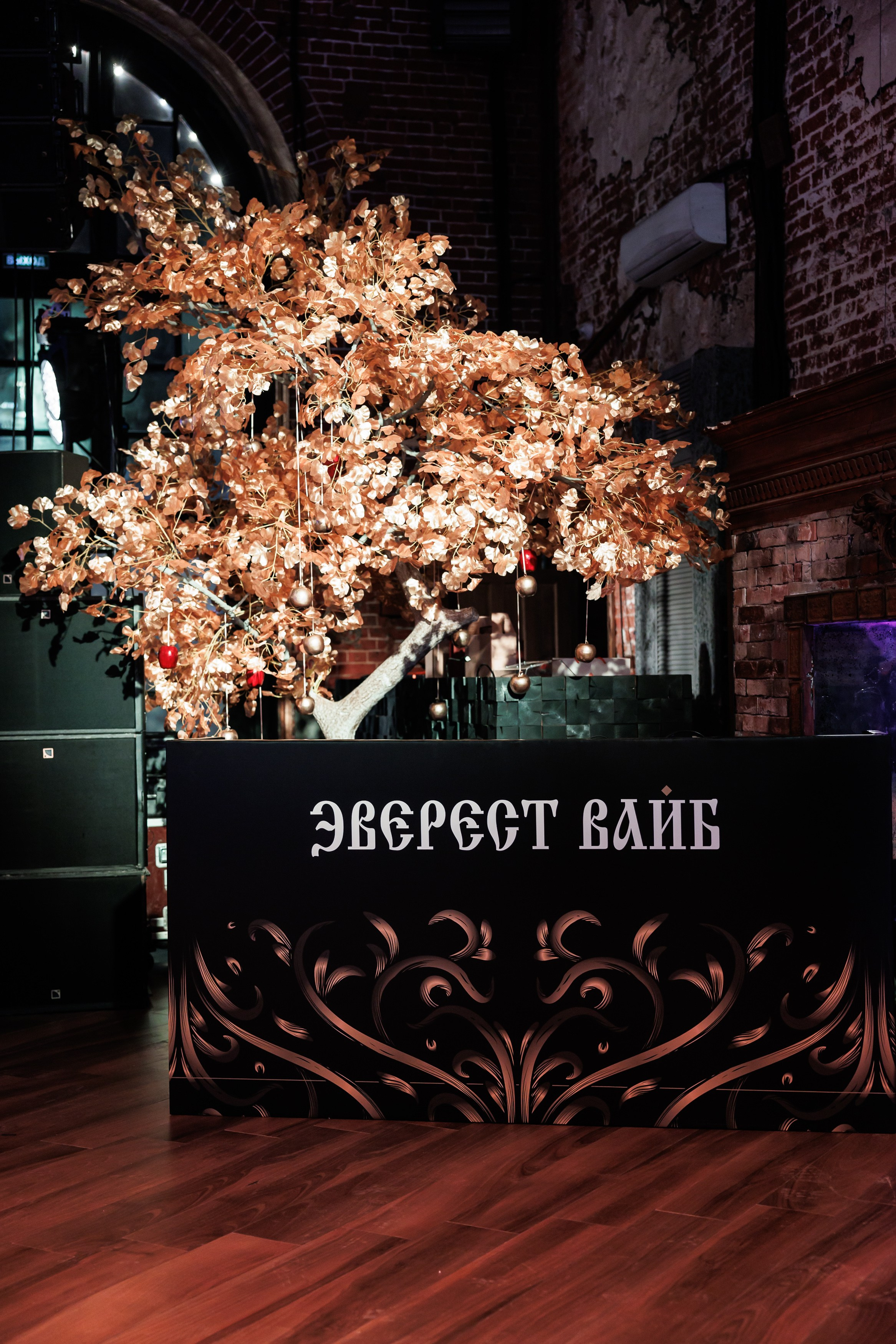 EVEREST VIBE Сказки 08.12.2023. EVEREST PHOTO REPORT