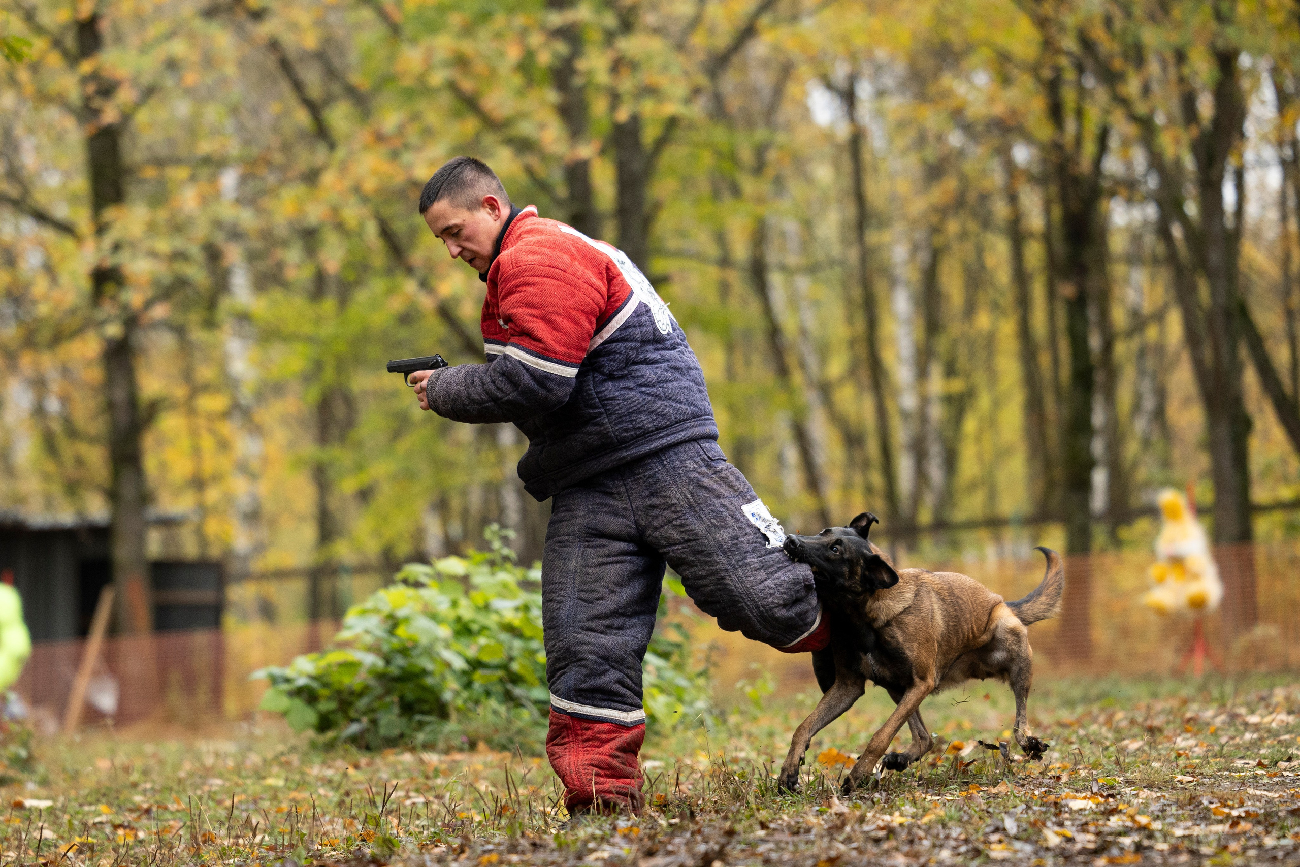 Соревнования по Мондьорингу г. Вологда. Фотограф-анималист Анна Маринич