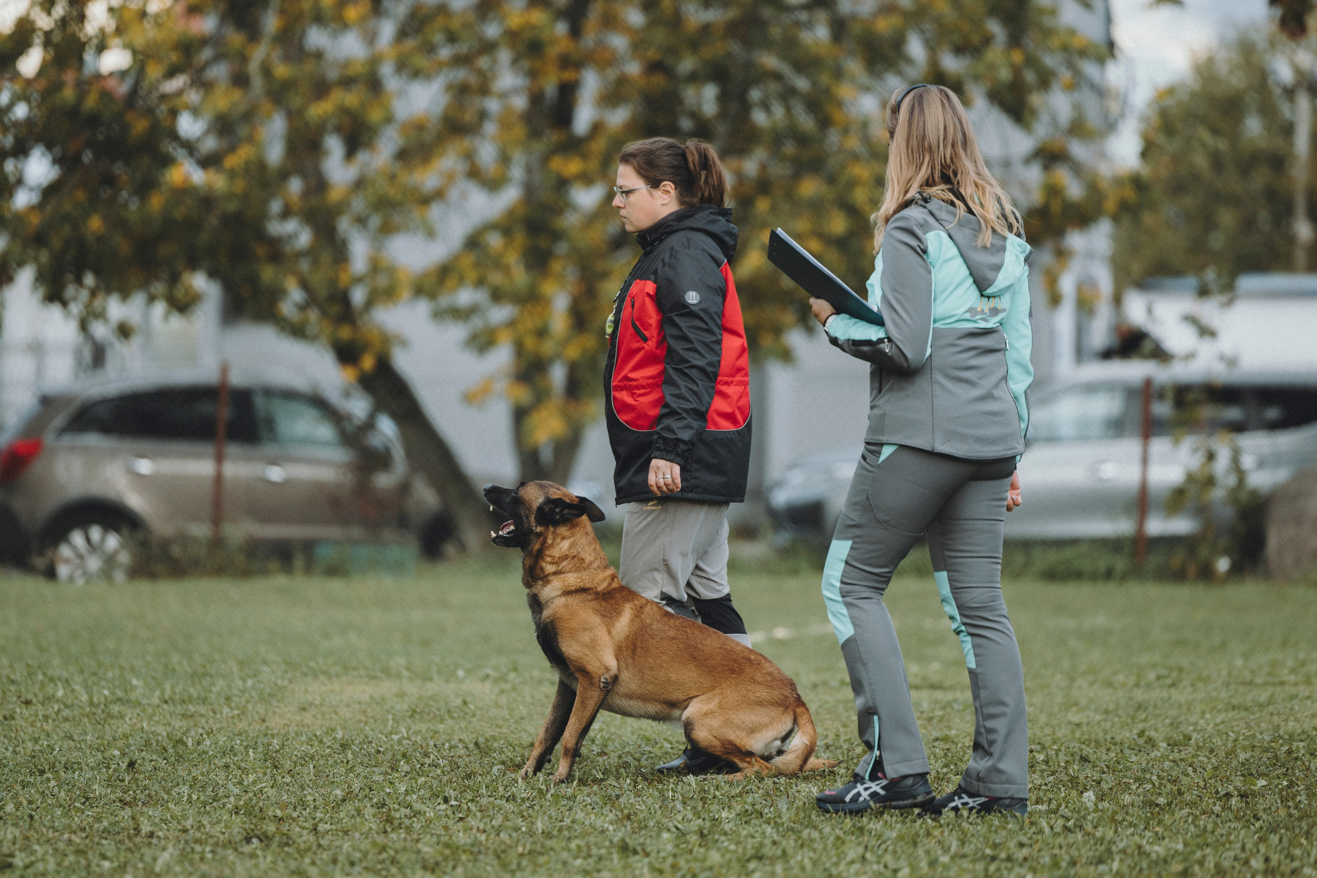 Испытания по мондьорингу г. Пушкин 29.09.2024. Фотограф-анималист Анна Маринич