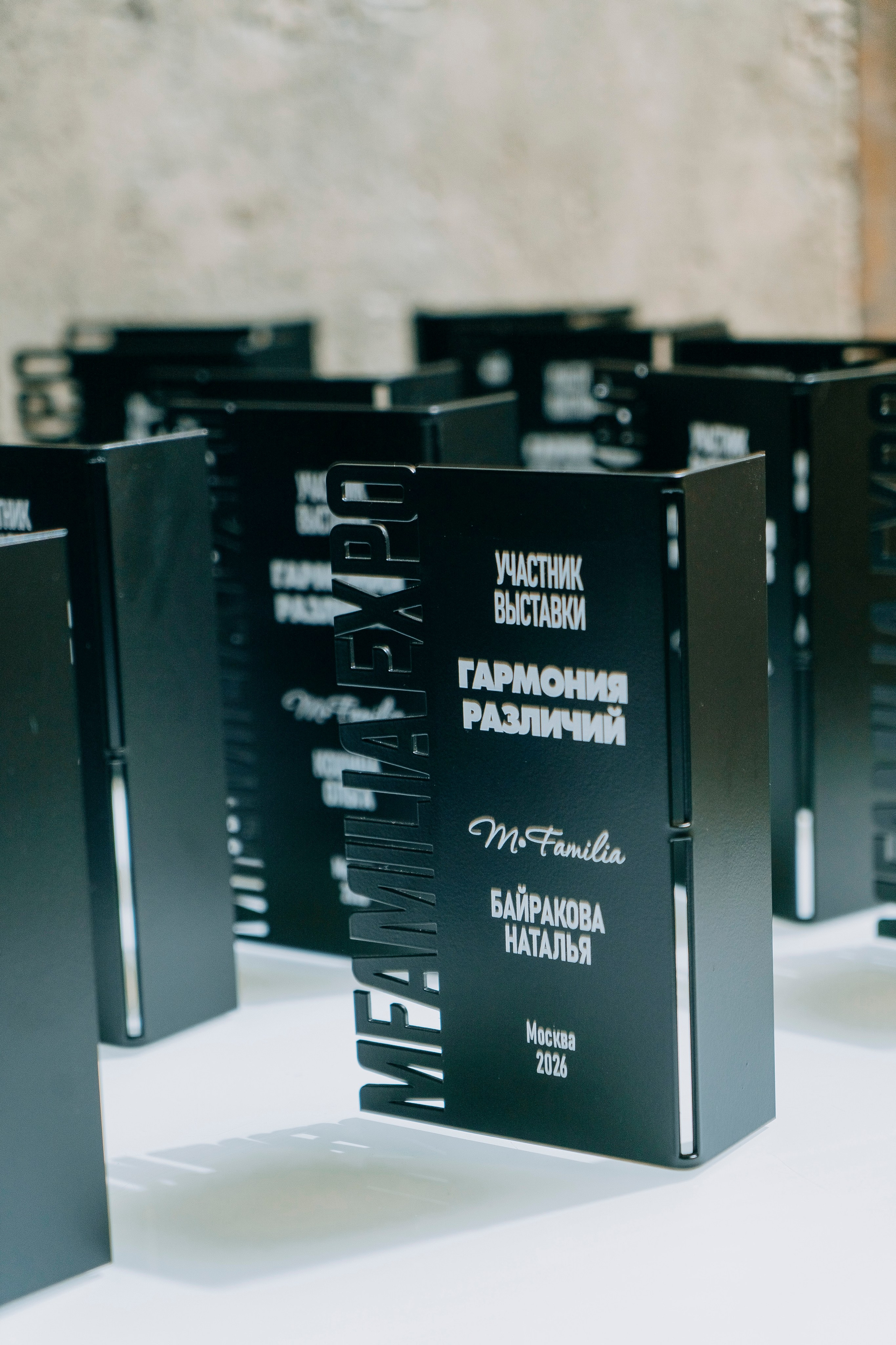 Вернисаж фотовыставки MFamilia «Гармония различий». Организация фотовыставок в Петербурге и Москве, MFamilia (МФамилия)