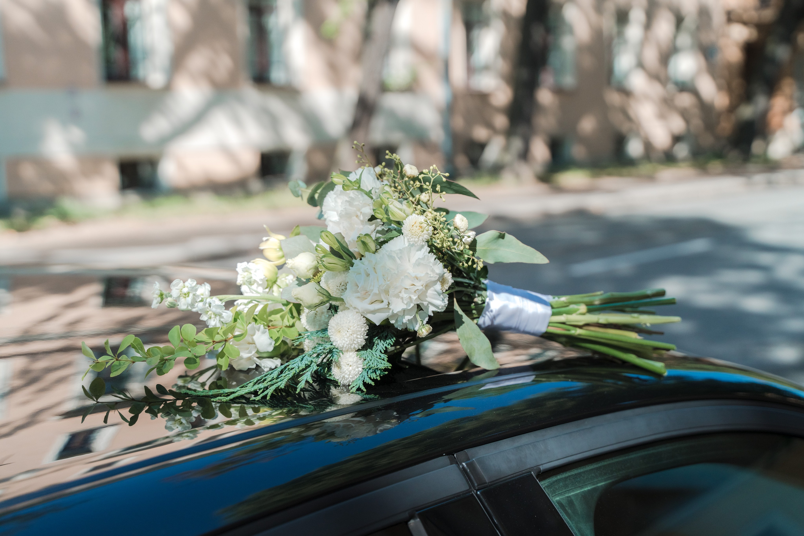 Максим + Софья