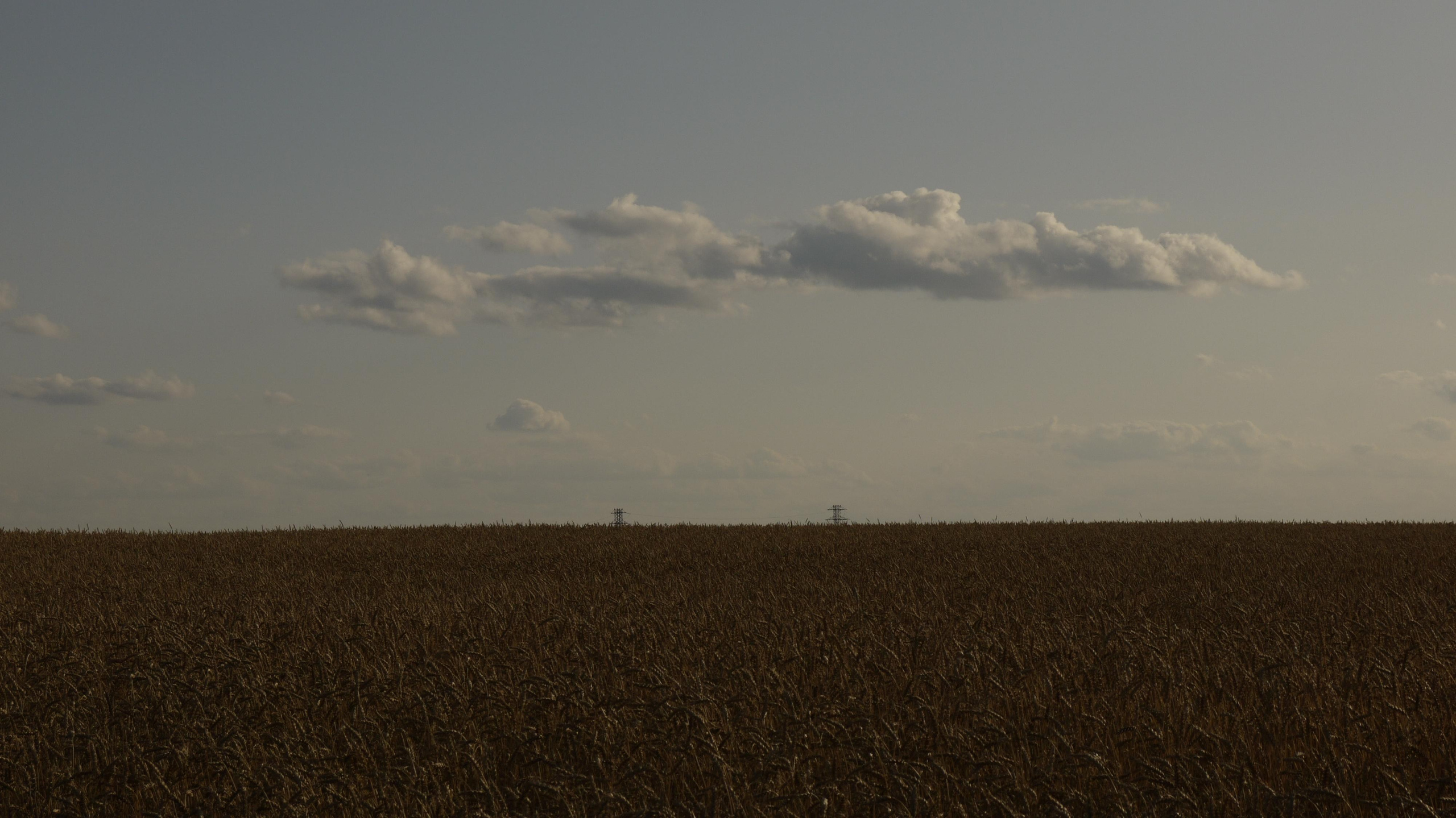 Этот прекрасный мир