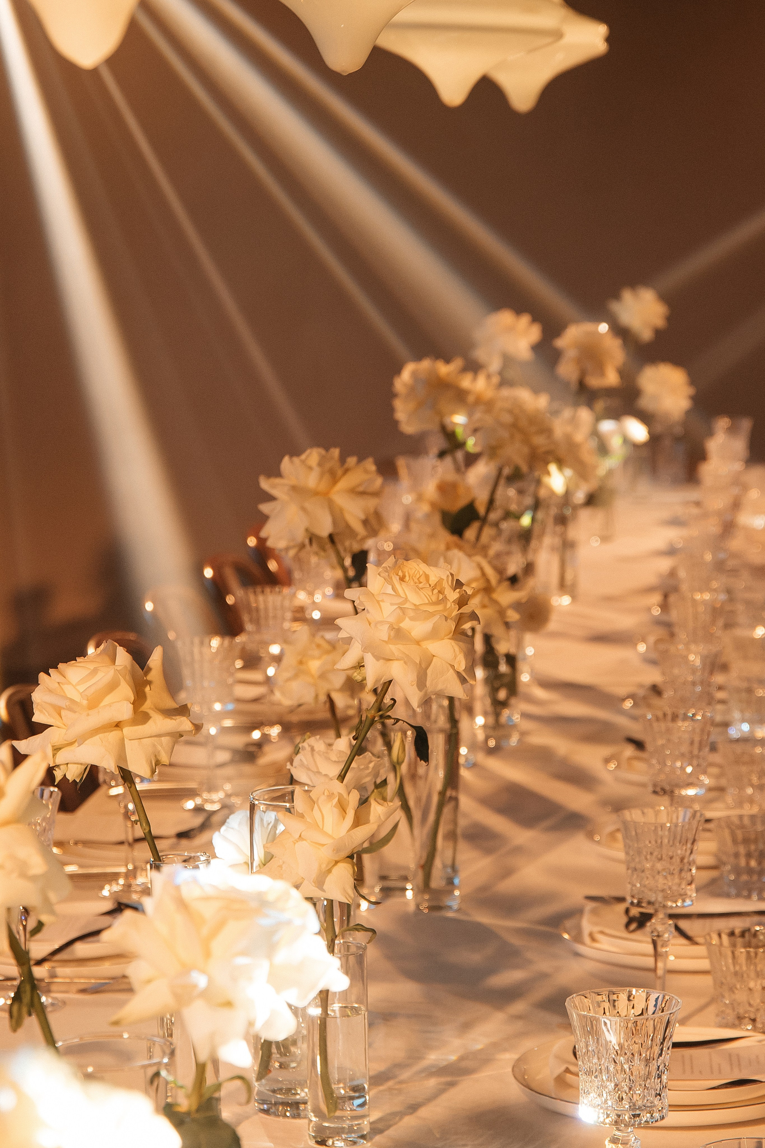 31.10.2024. Мария — Свадебный фотограф