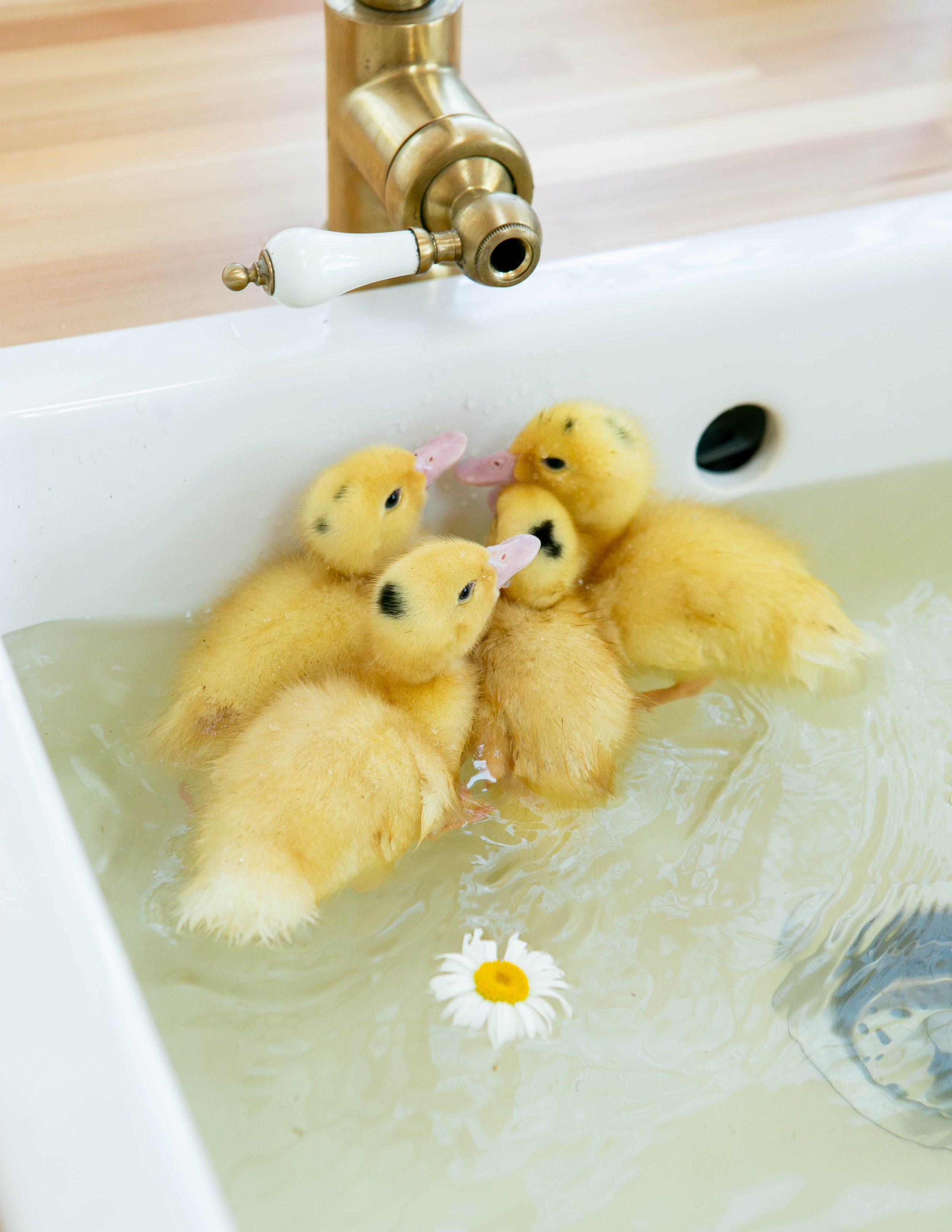 Ю и М. Семейный и детский фотограф в СПБ, Пушкин, Колпино, Славянка, Тосно