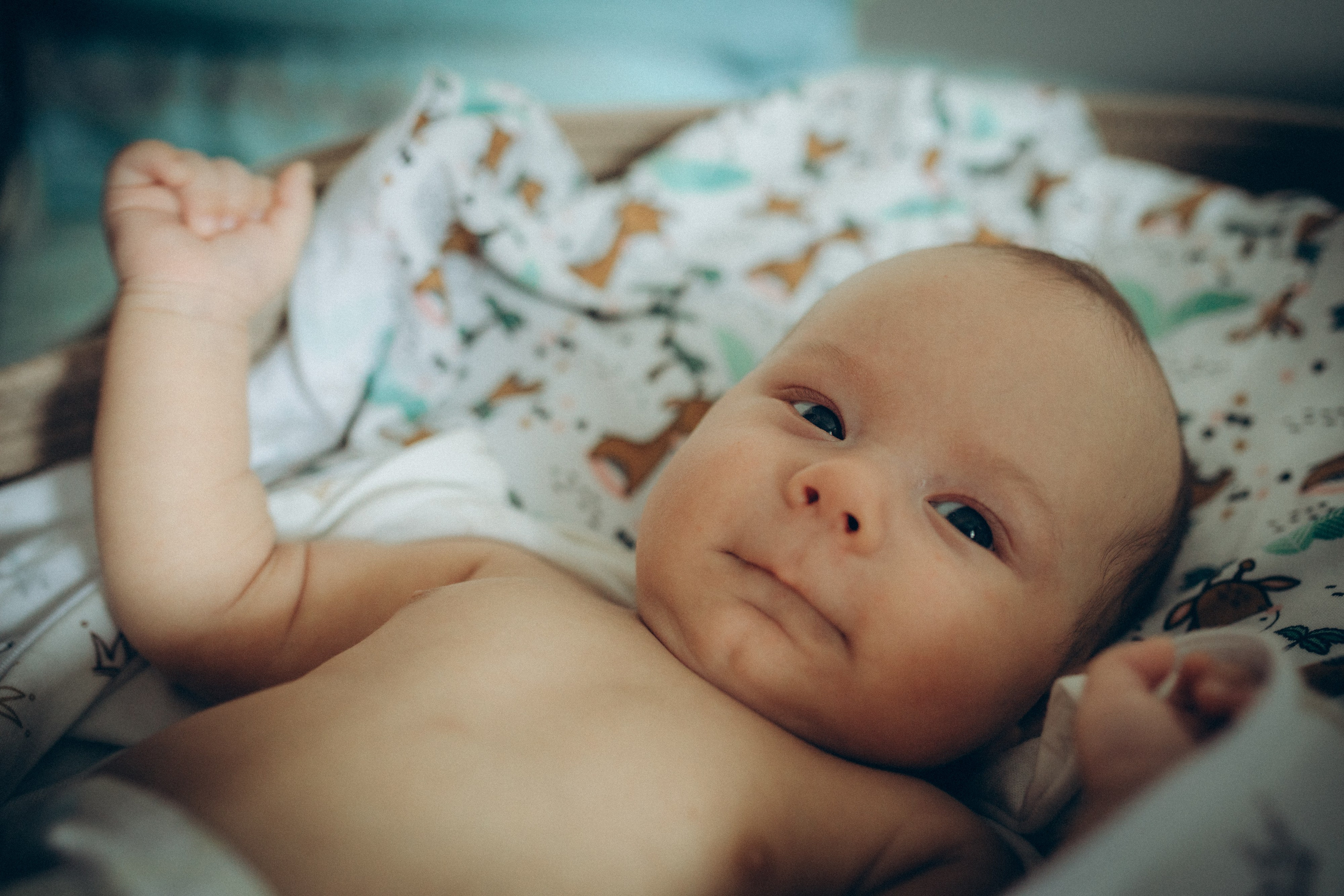 Аня, Кирилл и Ярослав. Семейный фотограф и фотограф на роды в Ростове-на-Дону Мухина Виктория