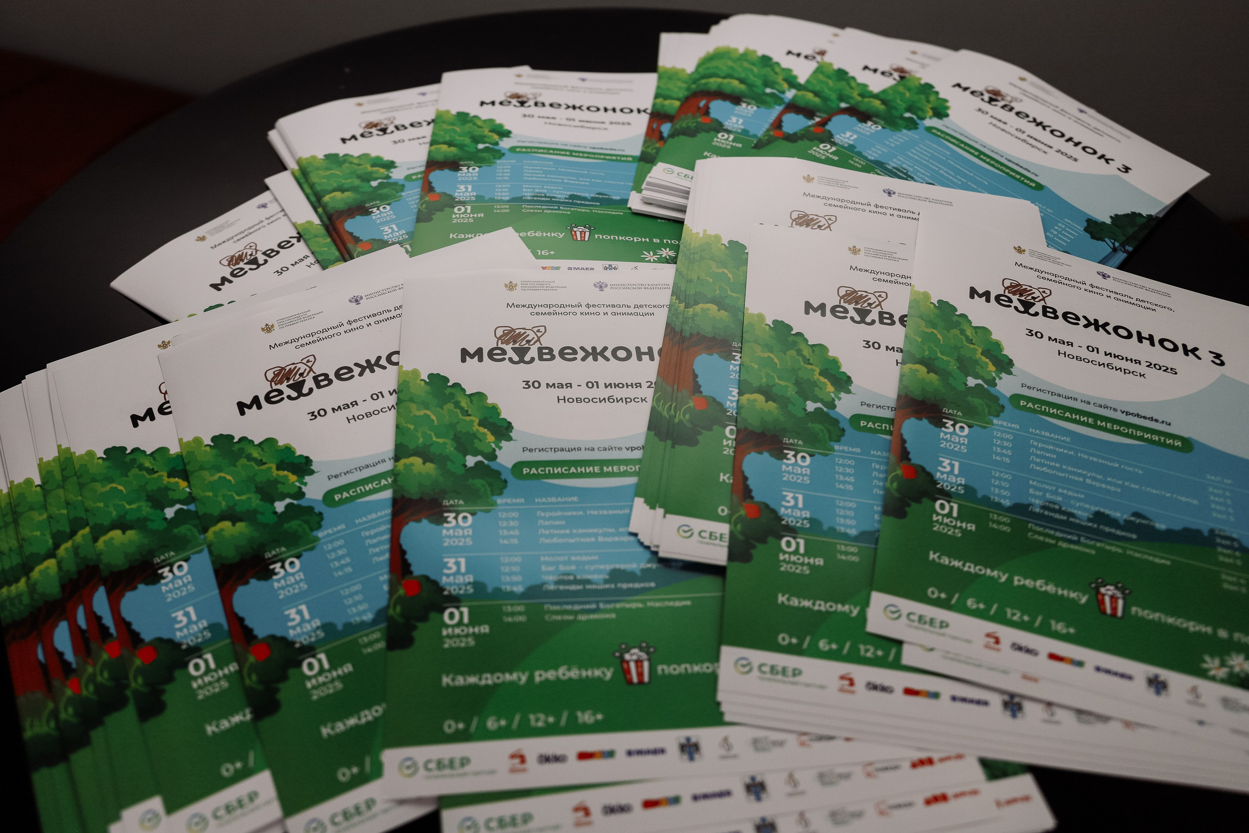 Кинофестиваль Медвежонок в Победе. Фотограф Юлия Мальцева