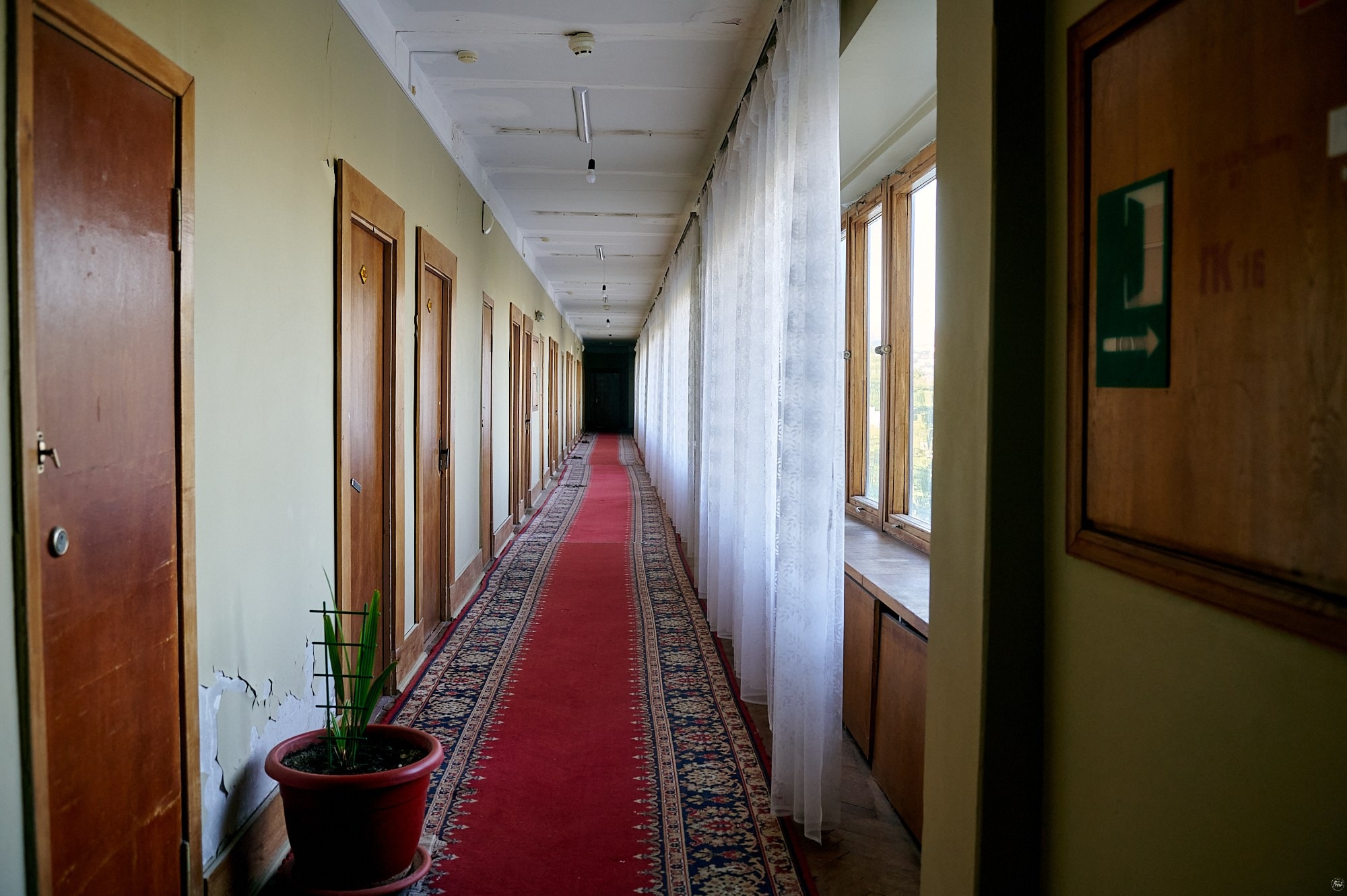 Санаторий им. Семашко, Кисловодск, август 2024. Фотографии отовсюду и обо всем