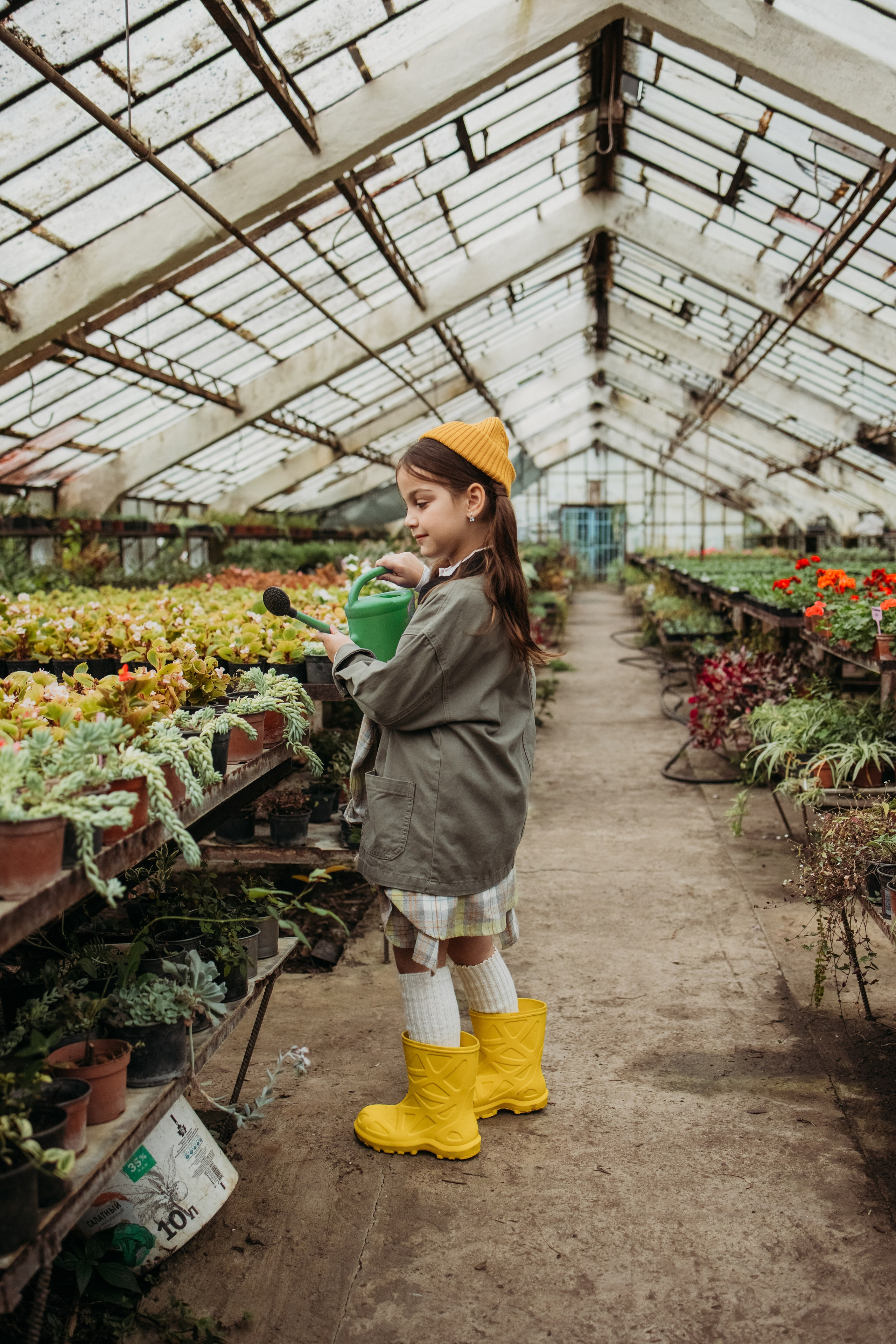 Теплица мацеста. Фотограф Сочи Татьяна Зорина