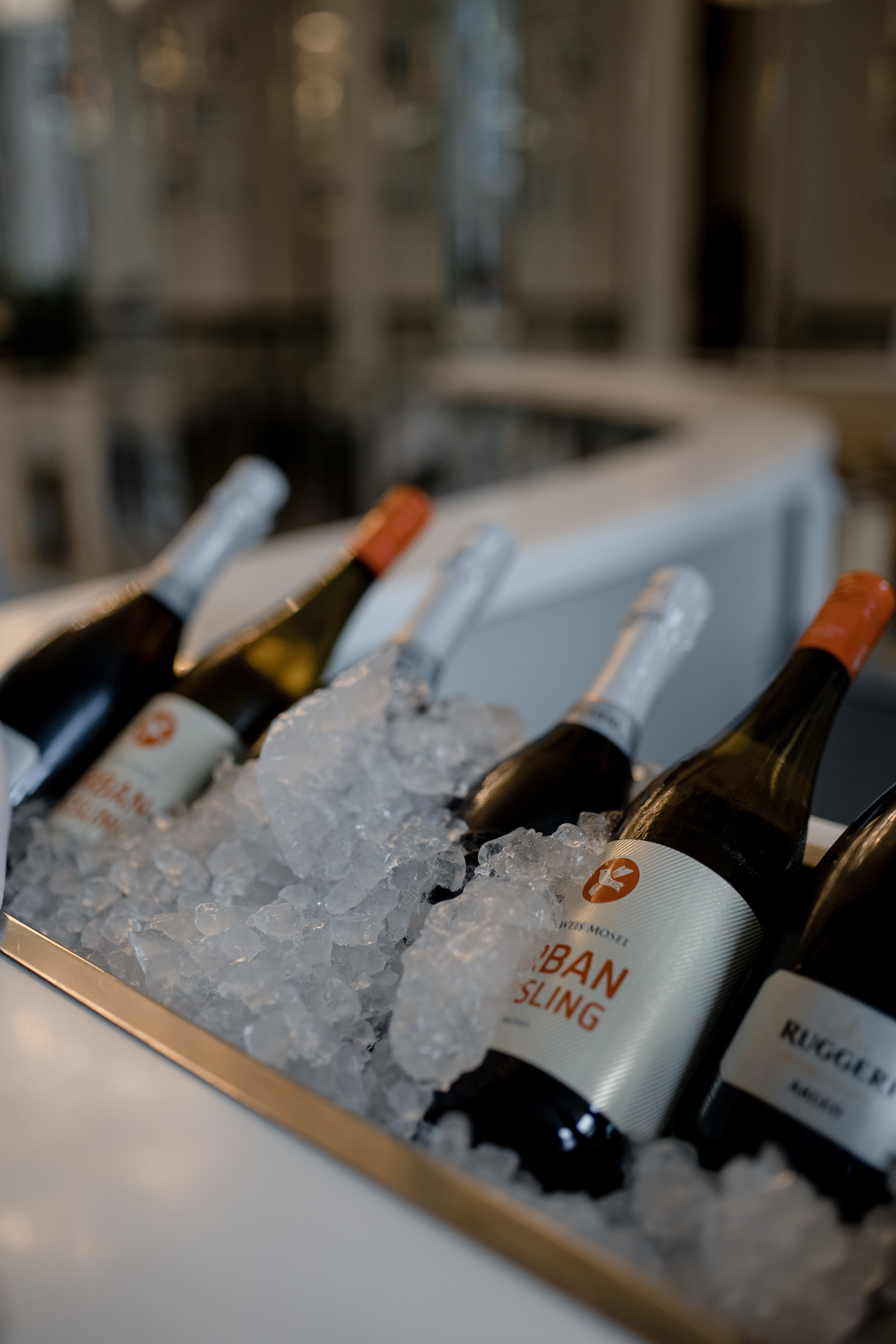 Party Egypt MasterSuit REPORTAGE. Антон Прокопенков Свадебный Фотограф +7(916) 013-35-12