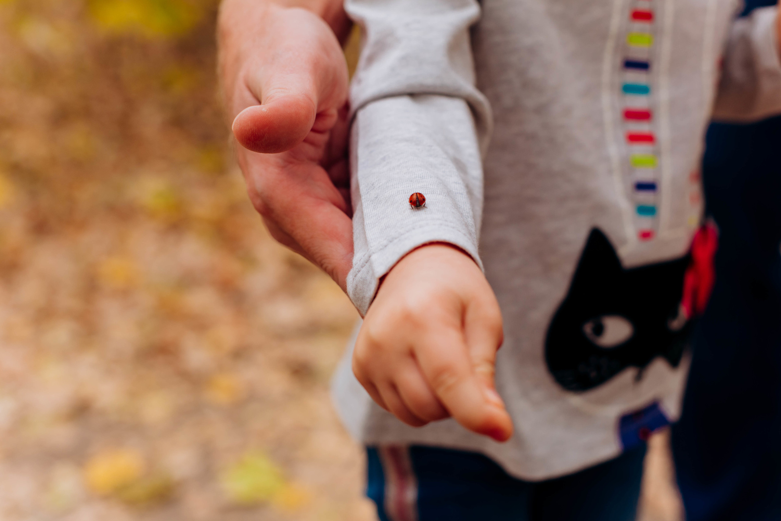 Семейные фотосессии. Семейный и свадебный фотограф в Воронеже Майя Добровольская