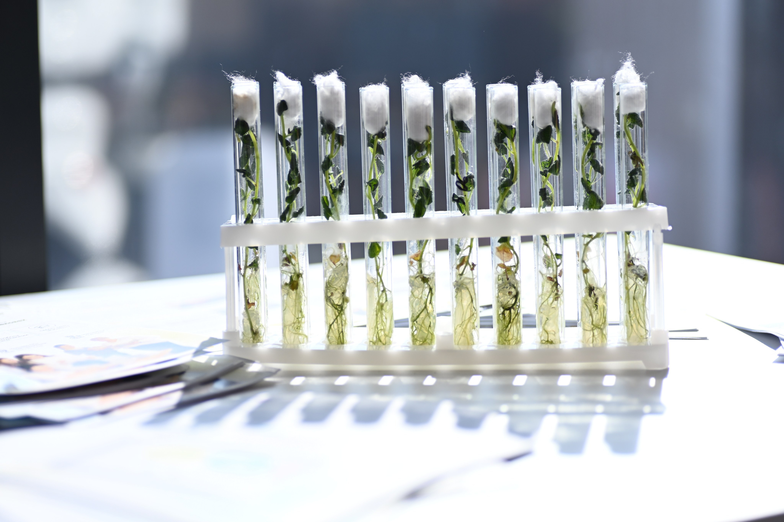 Репортажная съемка Нижний Новгород, фотограф Дмитрий Гуричев. Бизнес-фотограф Дмитрий Гуричев. Корпоративная фотосъемка в Нижнем Новгороде для предпринимателей и организаций