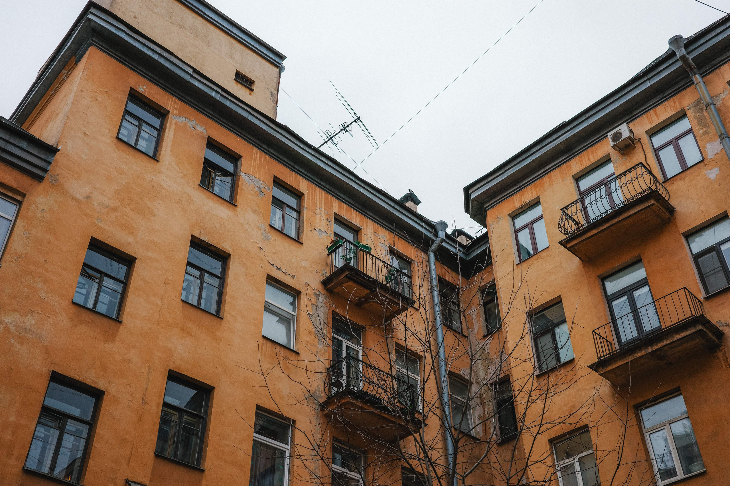 2024.03. Фотограф Алексей Алексеев