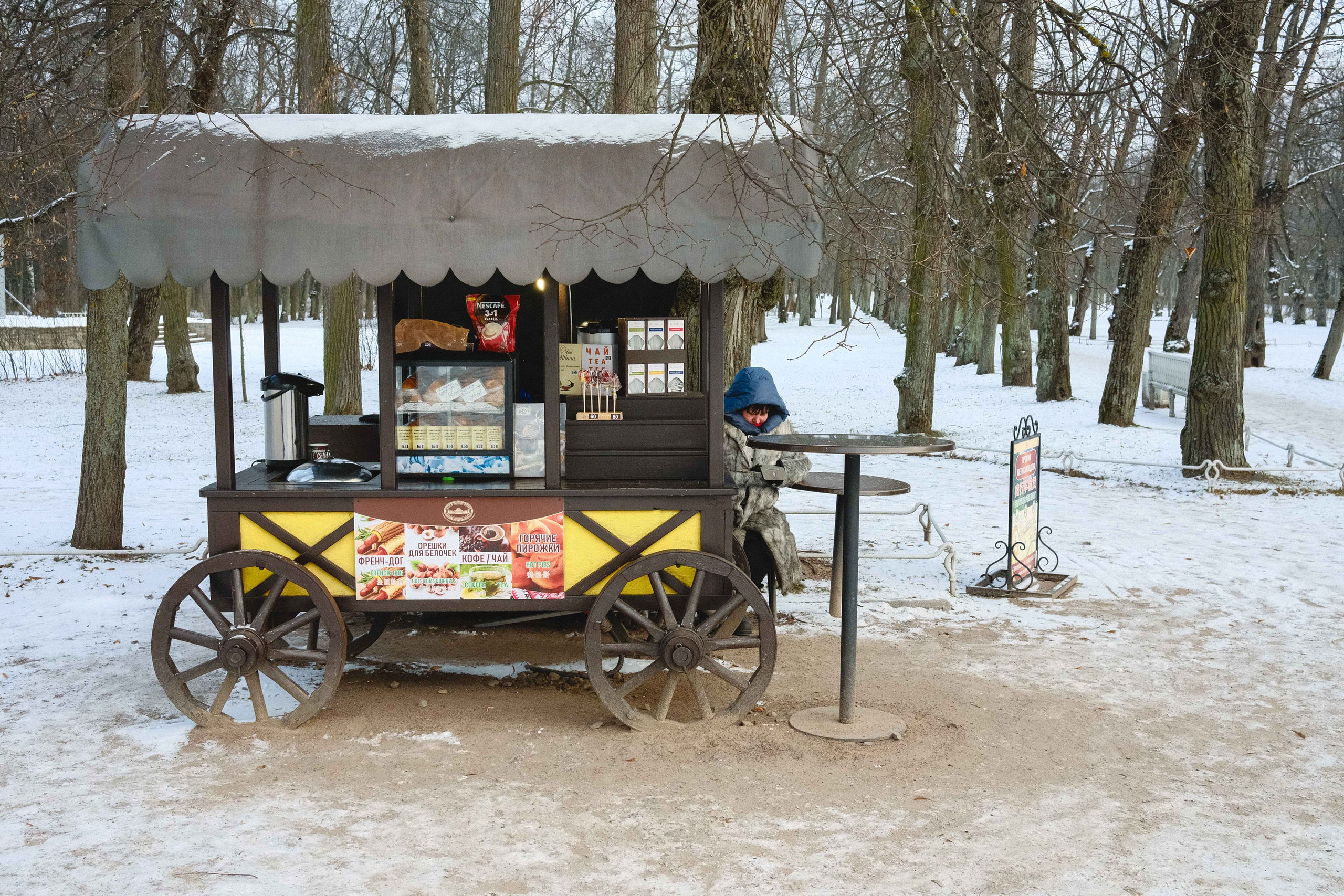 2022.11. Фотограф Алексей Алексеев